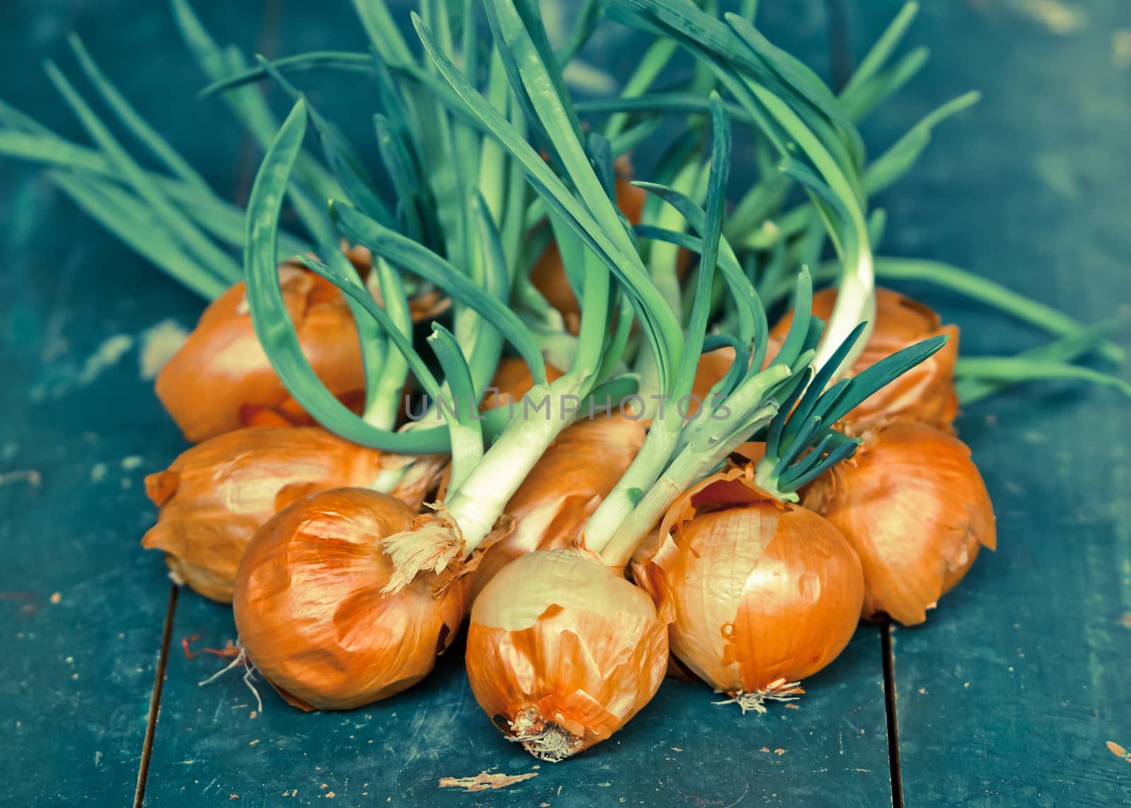 Pile of onions on a green table