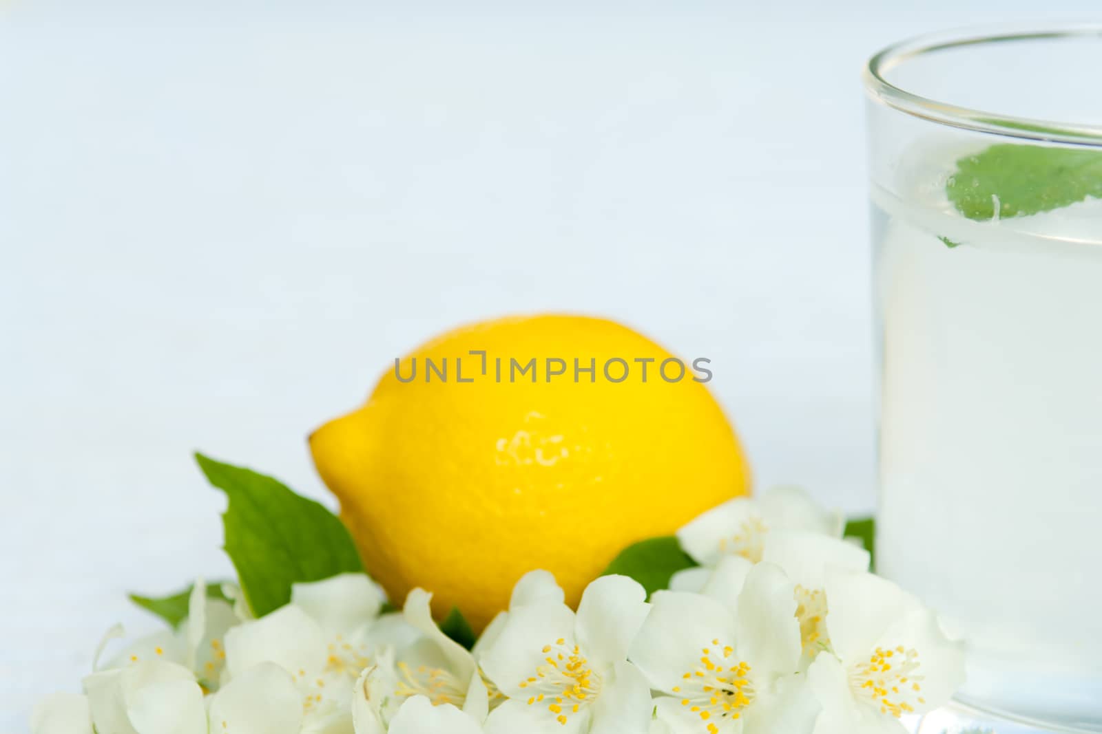 Lemonade with fresh lemon and mint leaves with copy space white flowers decoration