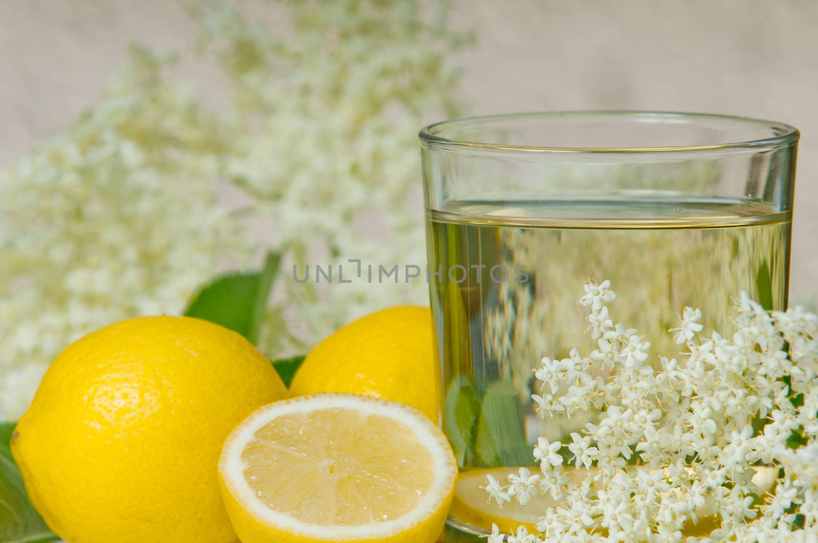 flowers elderberry Sambucus nigra and elderberry flower drink fresh raw