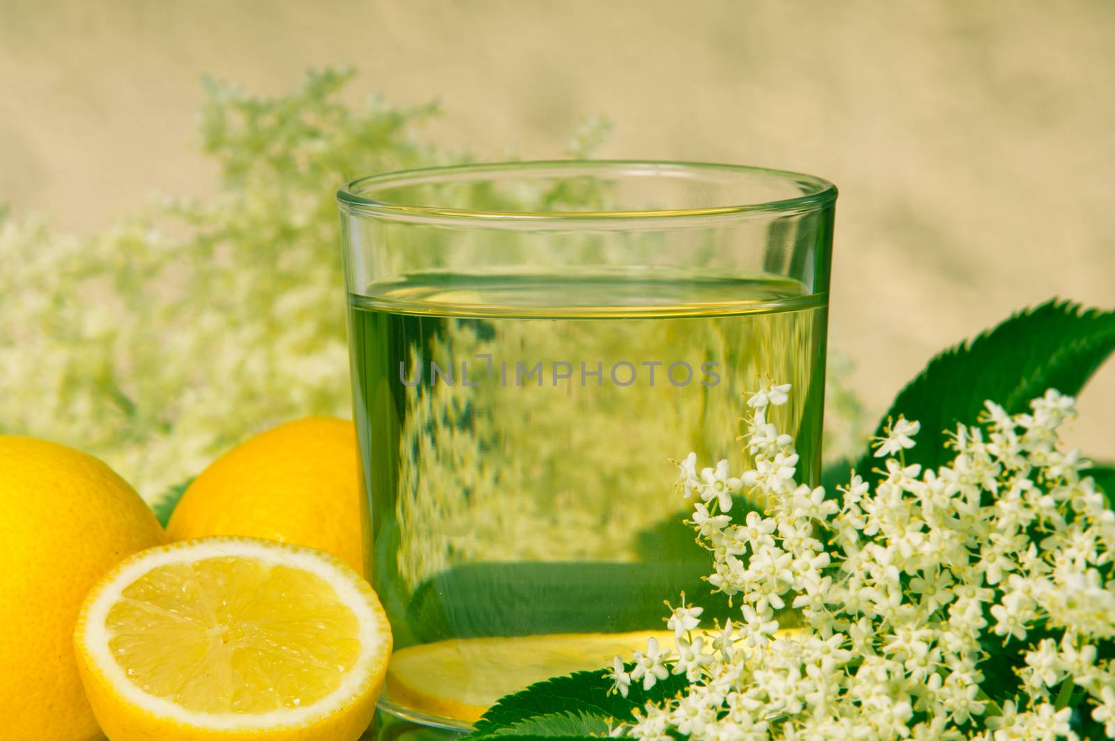 flowers elderberry Sambucus nigra and elderberry flower drink fresh raw