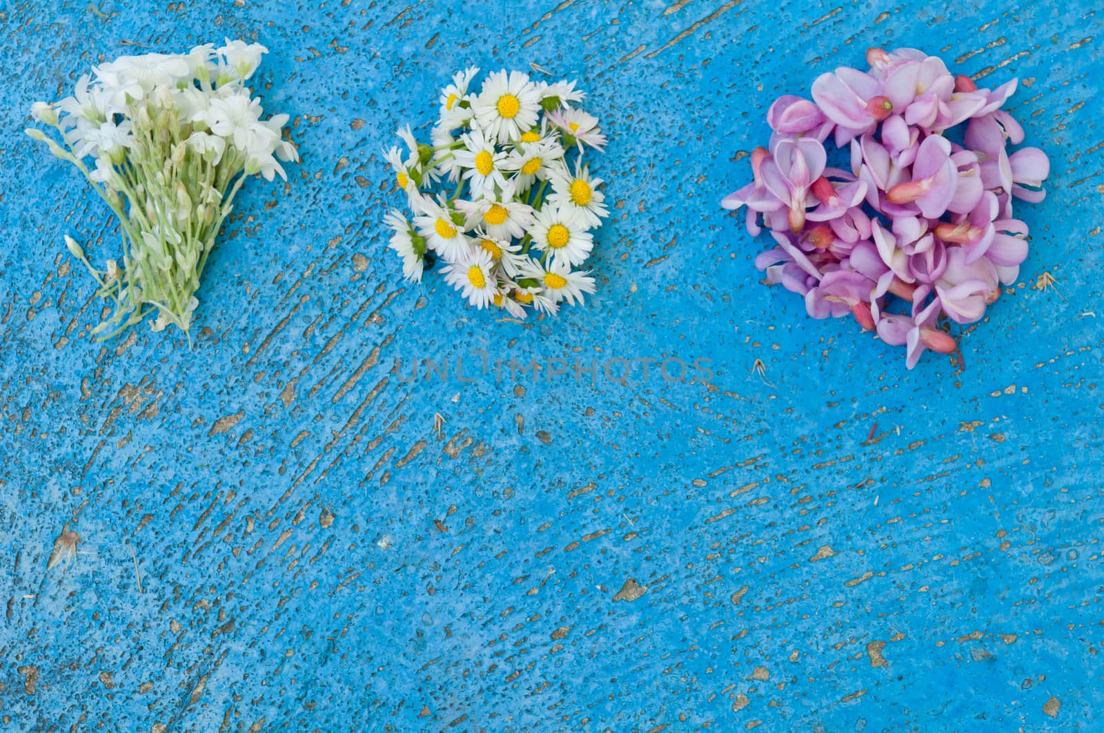 Small bunches of different flowers on an old textured light blue background flat lay top view turquoise background