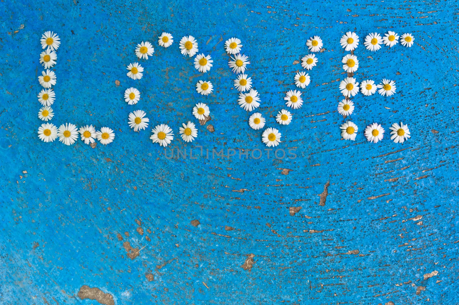 The word Love written of daisy flowers on textured blue background, top view