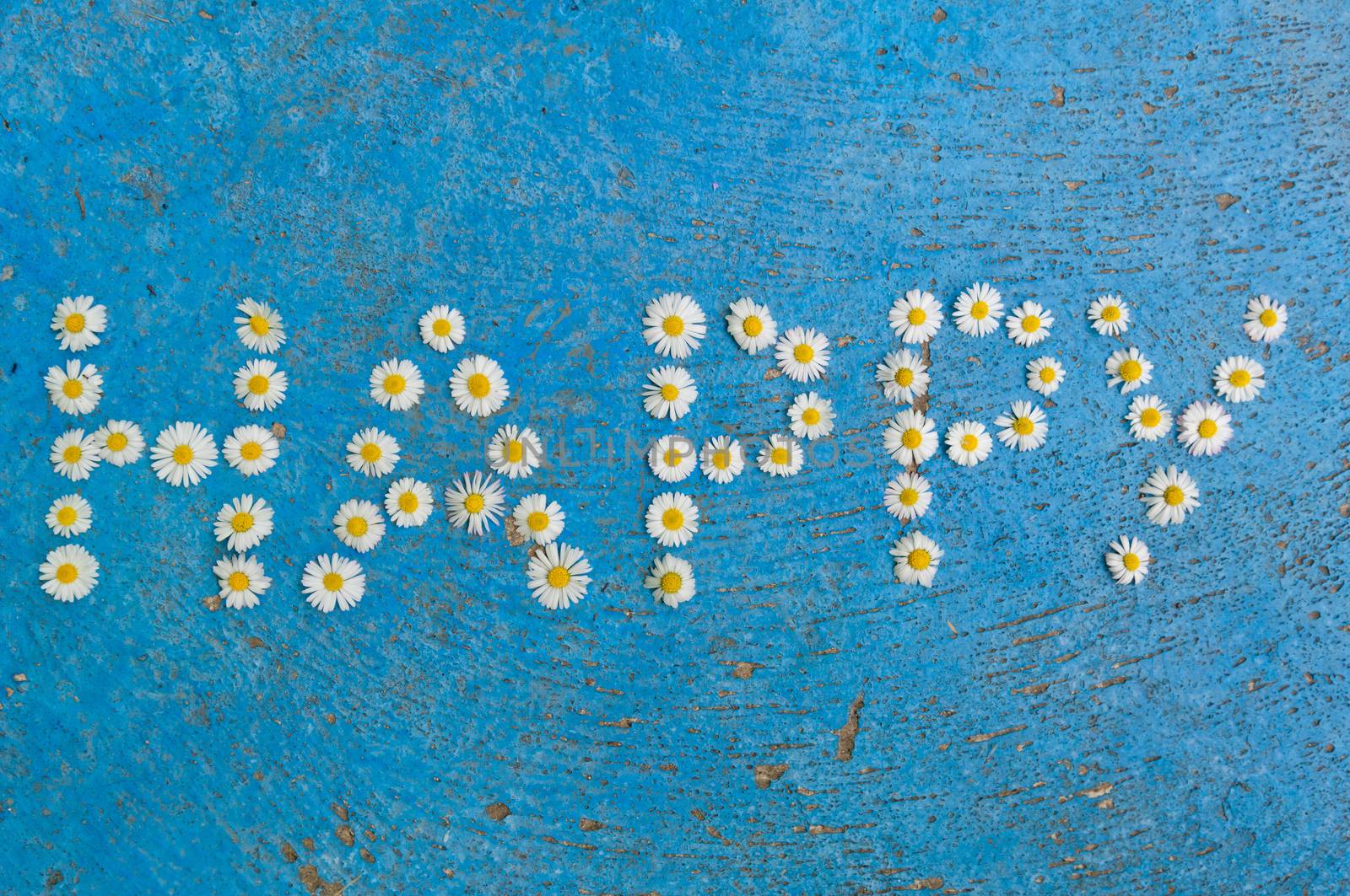 The word Happy written of daisy flowers on a textured, aged, light blue background. top view with copy space