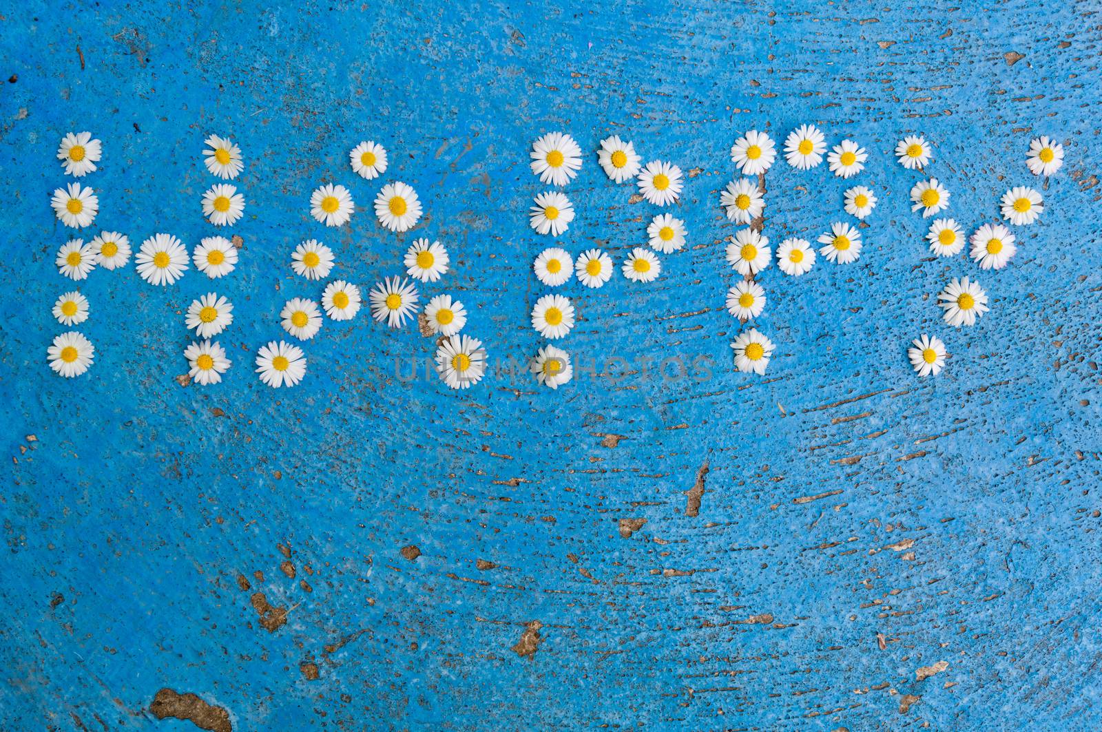 The word Happy written of daisy flowers on a textured, aged, light blue background. top view with copy space