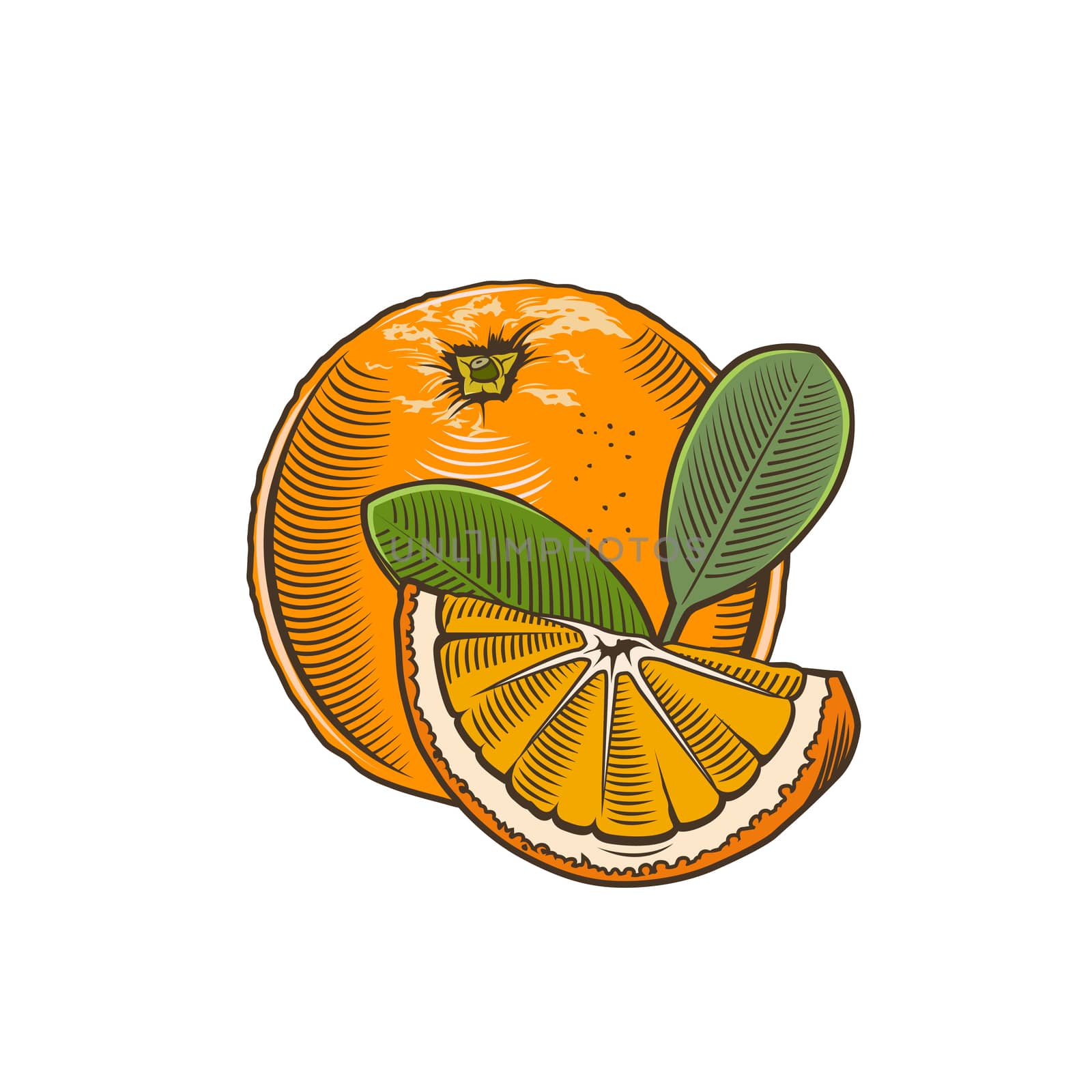 Orange in vintage style by ConceptCafe