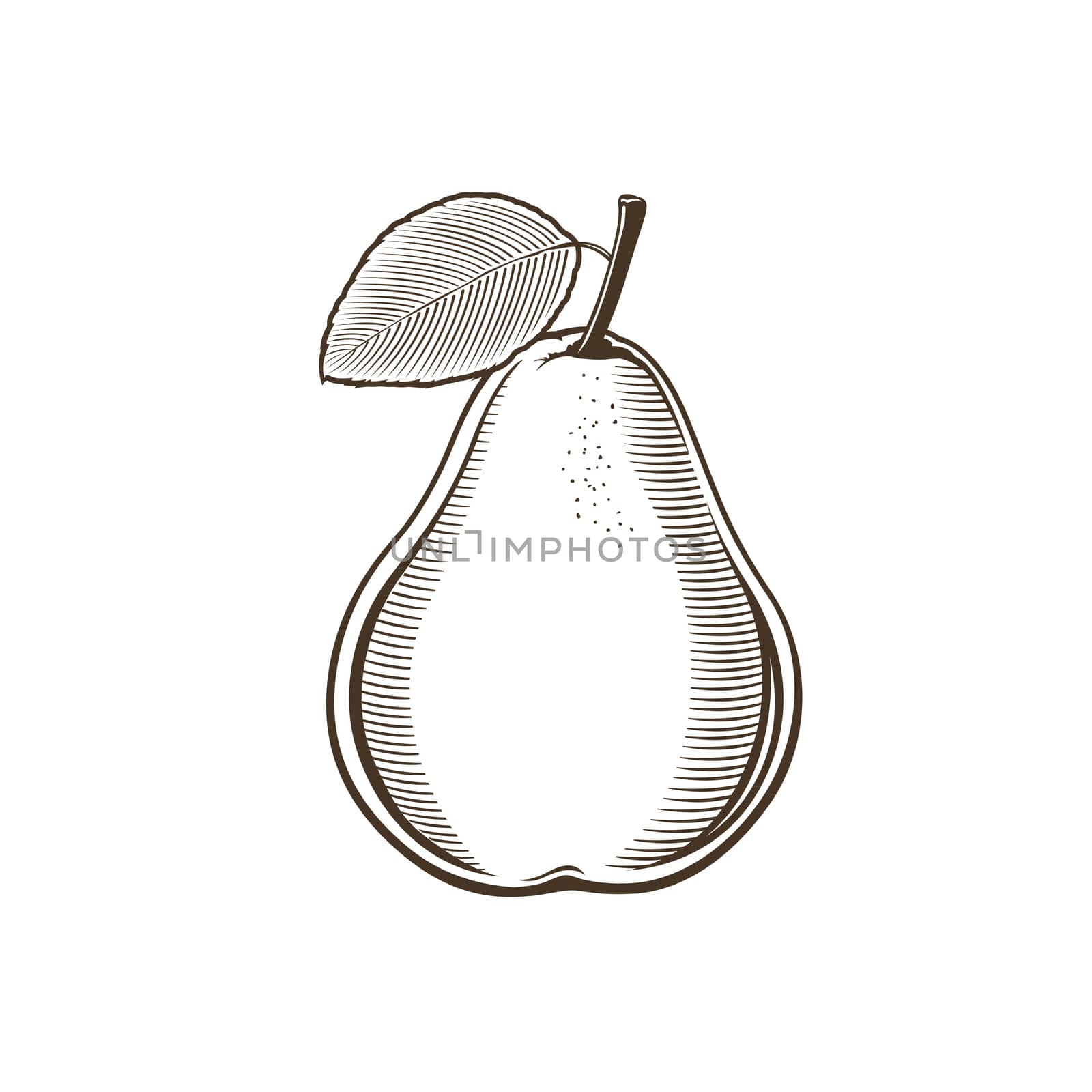 Pear in vintage style by ConceptCafe