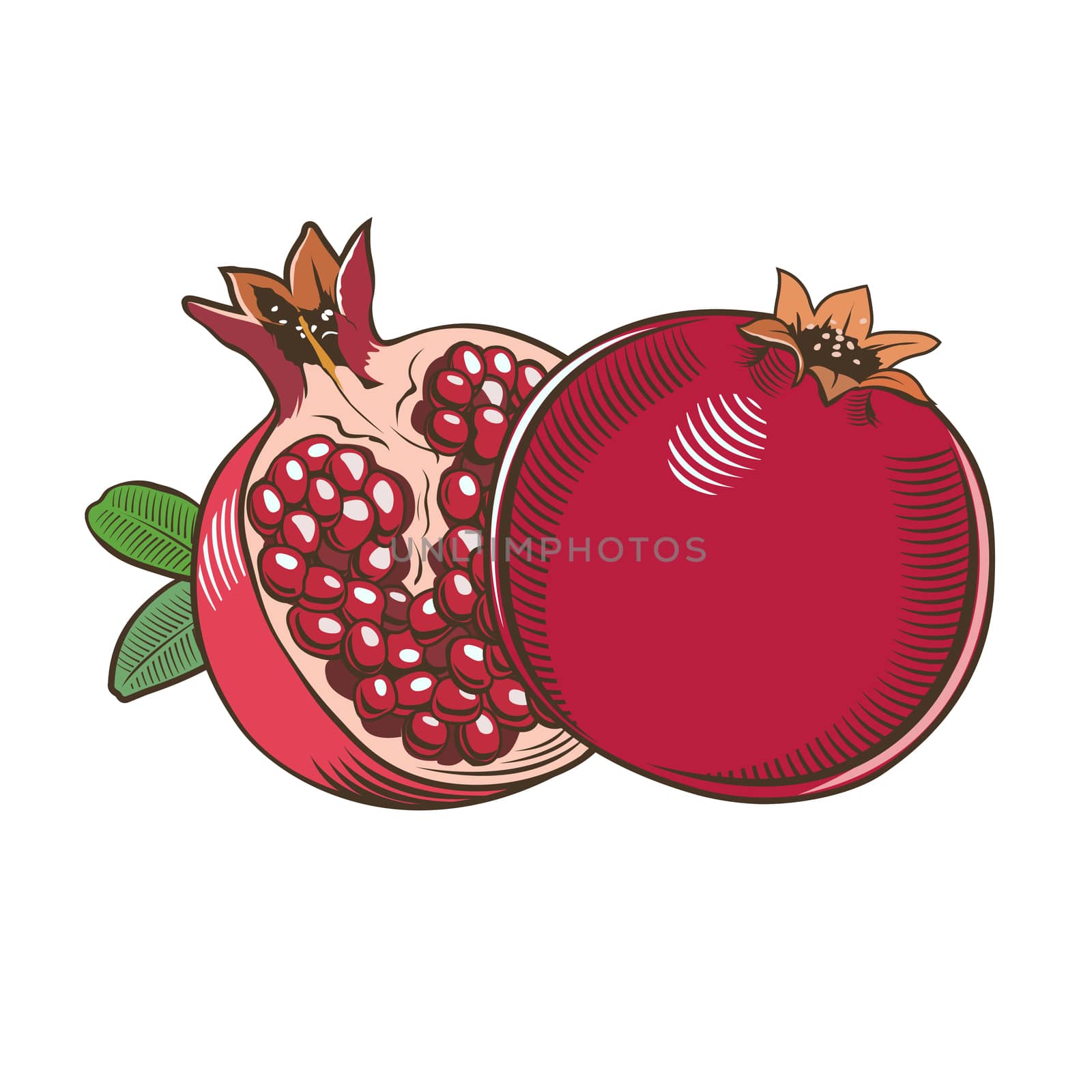 Pomegranates in vintage style by ConceptCafe