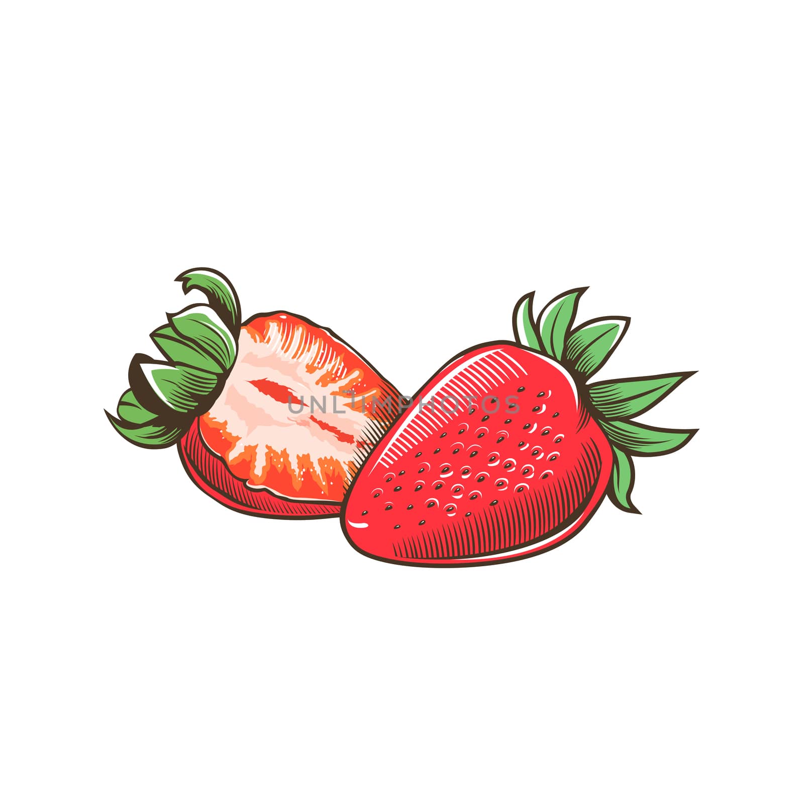 Strawberry in vintage style by ConceptCafe