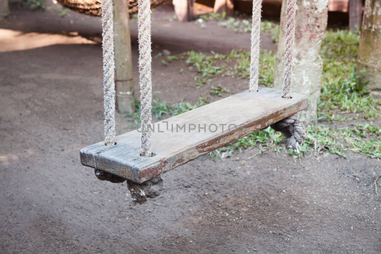 Old wood swing hanged on tree, stock photo