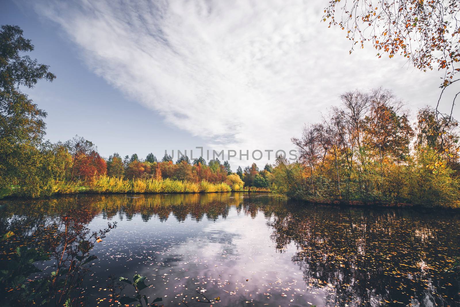 Lake in autumn with autumn leaves in the dark water and trees in autumn colors around the lake in the fall