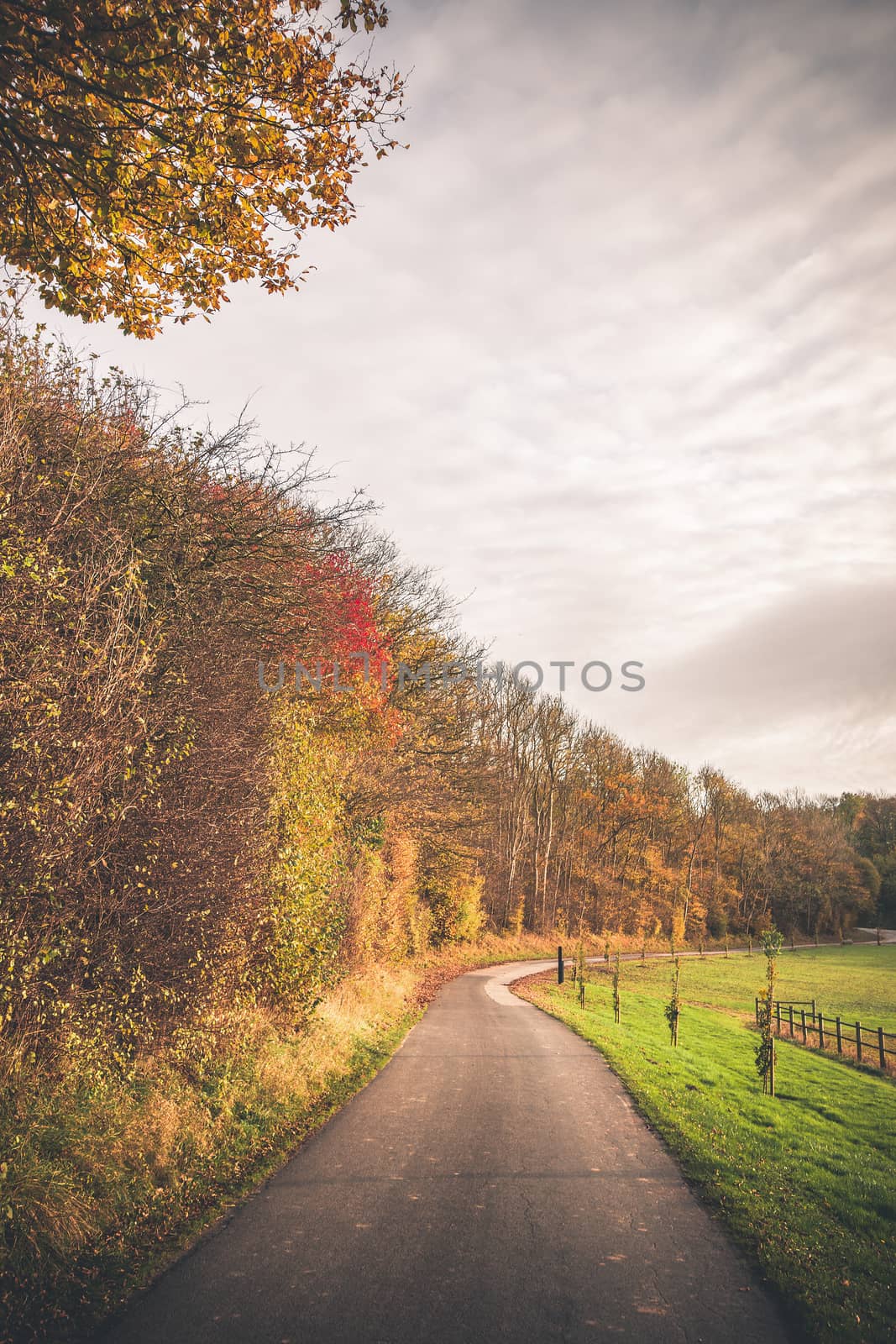Countryside road passing through a rural environment by Sportactive