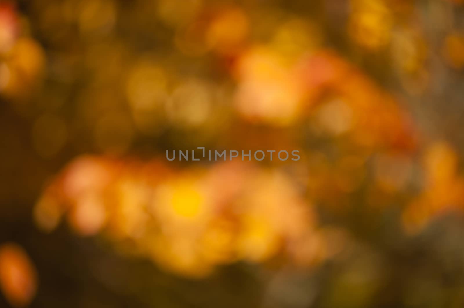Blurred background by AlessandroZocc