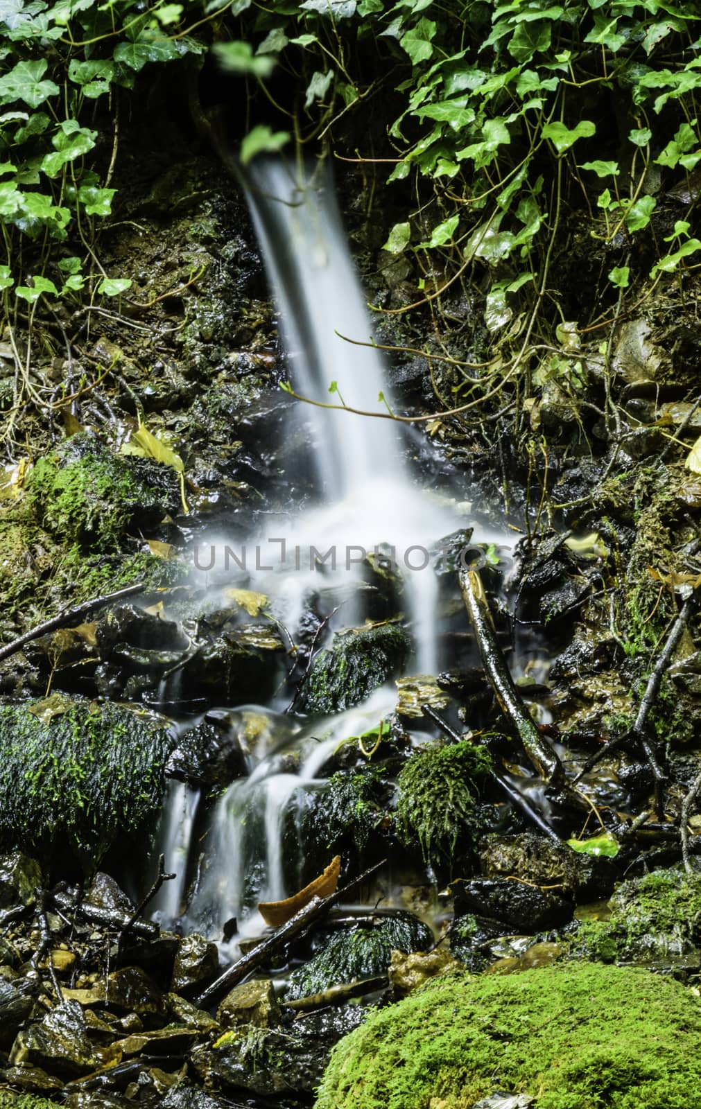 A small waterfall in the forest and moss.