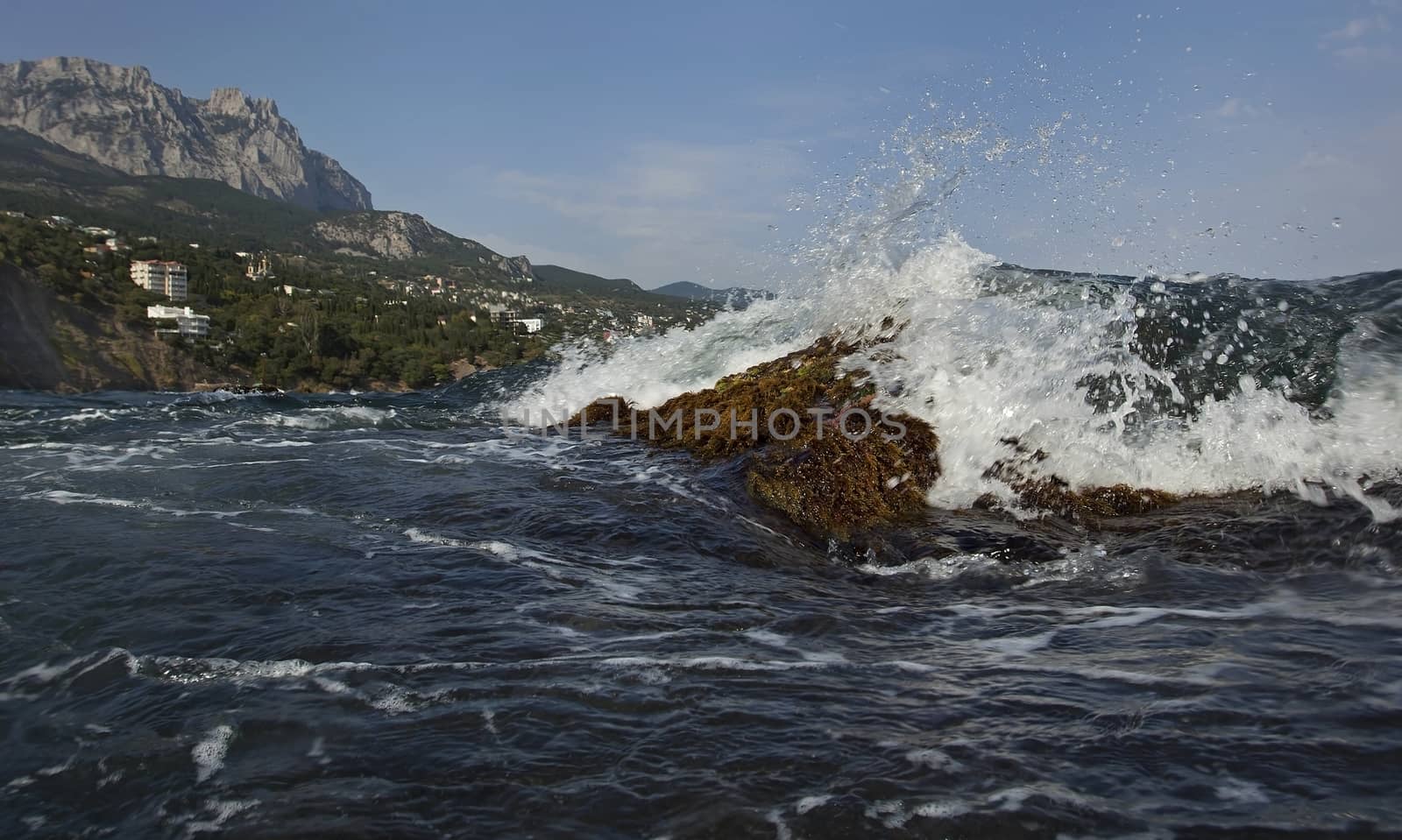 Crimea. Black Sea. Spray from a breaking wave.







Spray a breaking wave.