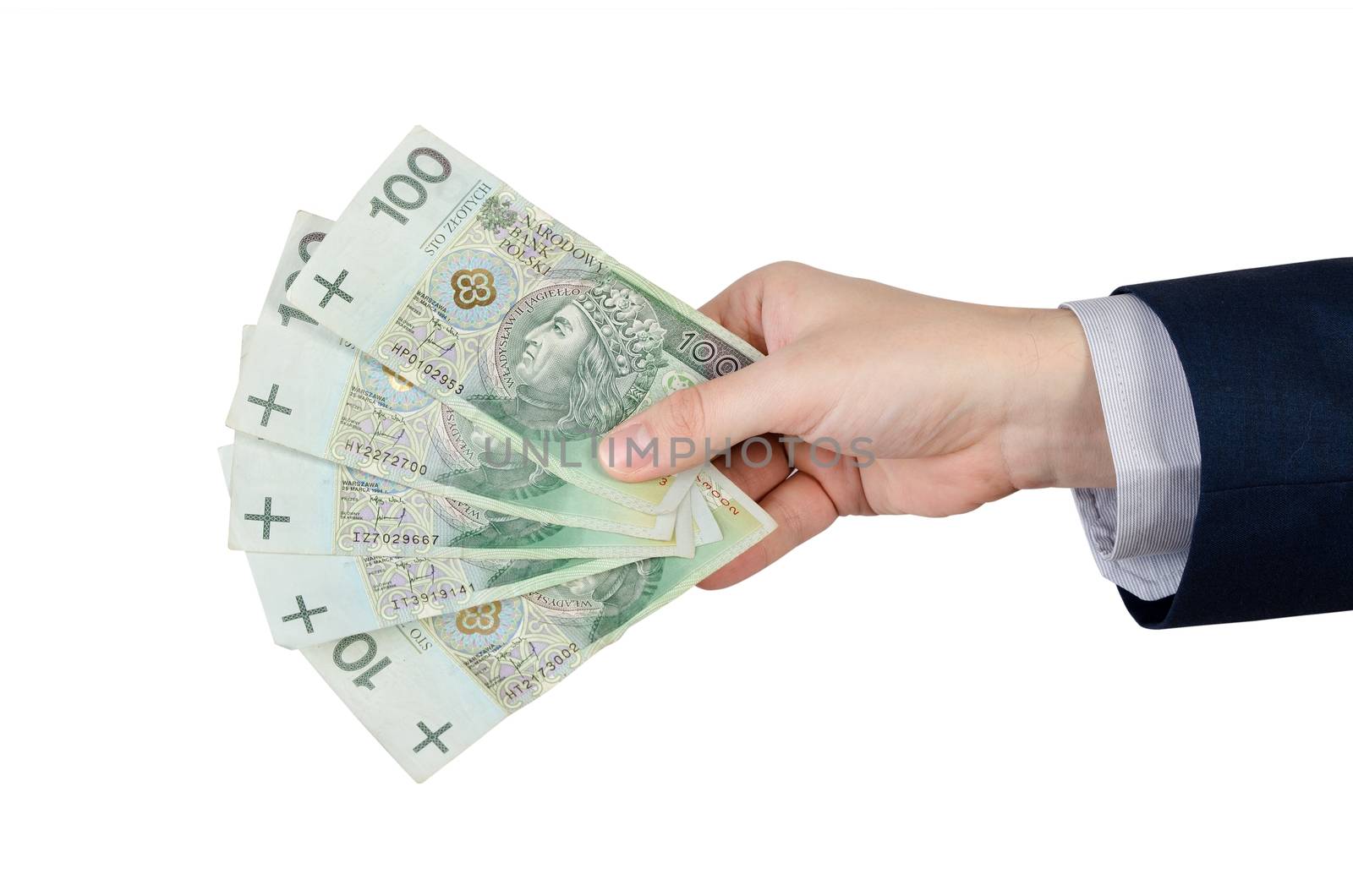 Range of Polish banknotes in hand. polish money zloty pln hand currency isolated finance concept