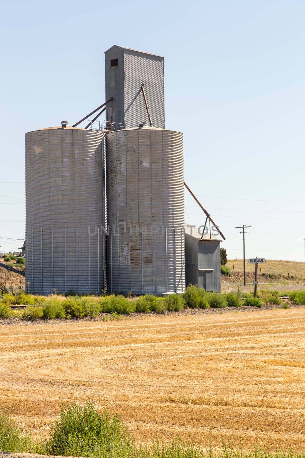 Bailed straw in the field by johnborda