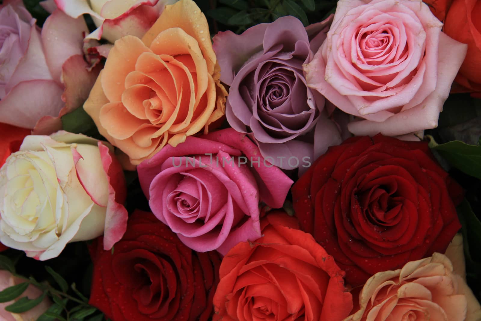 Roses in various bright colors in a mixed bridak bouquet