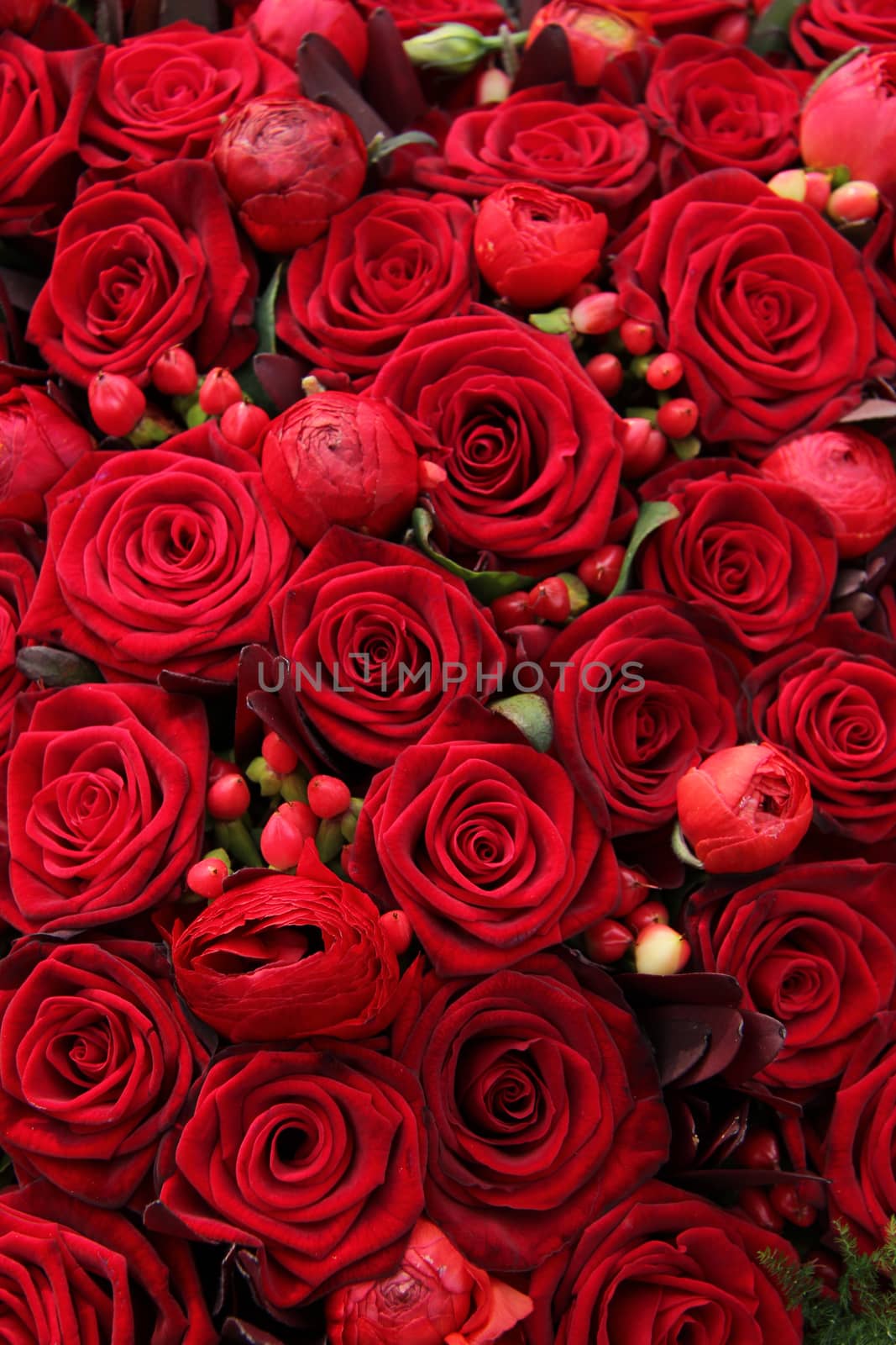 Red ranunculus, berries and roses in a group