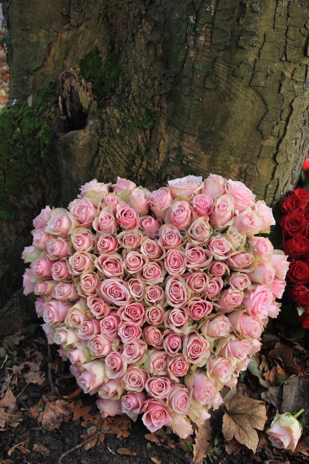 Heart shaped sympathy or funeral flowers near a tree