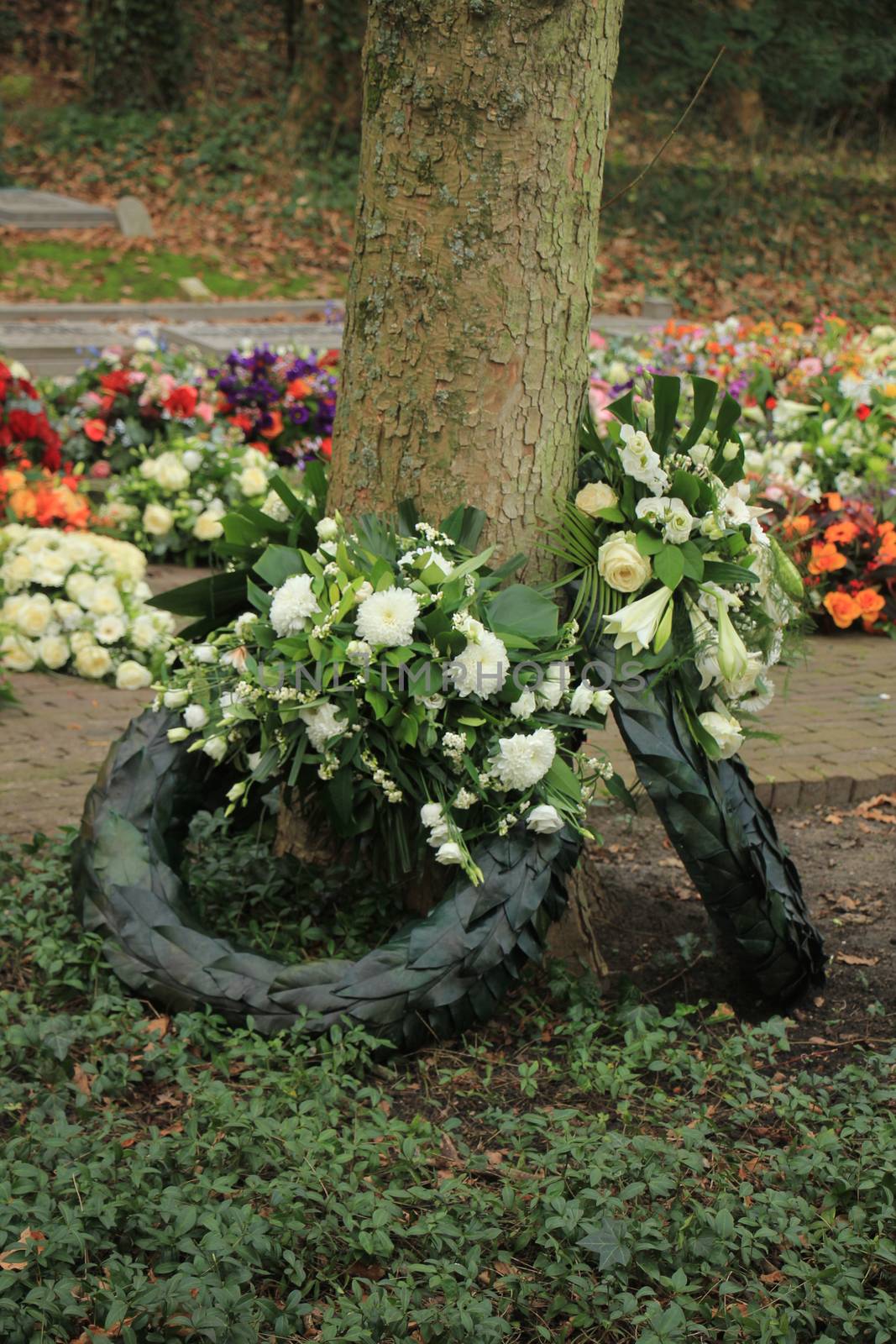 Sympathy wreaths near a tree on a cemetery