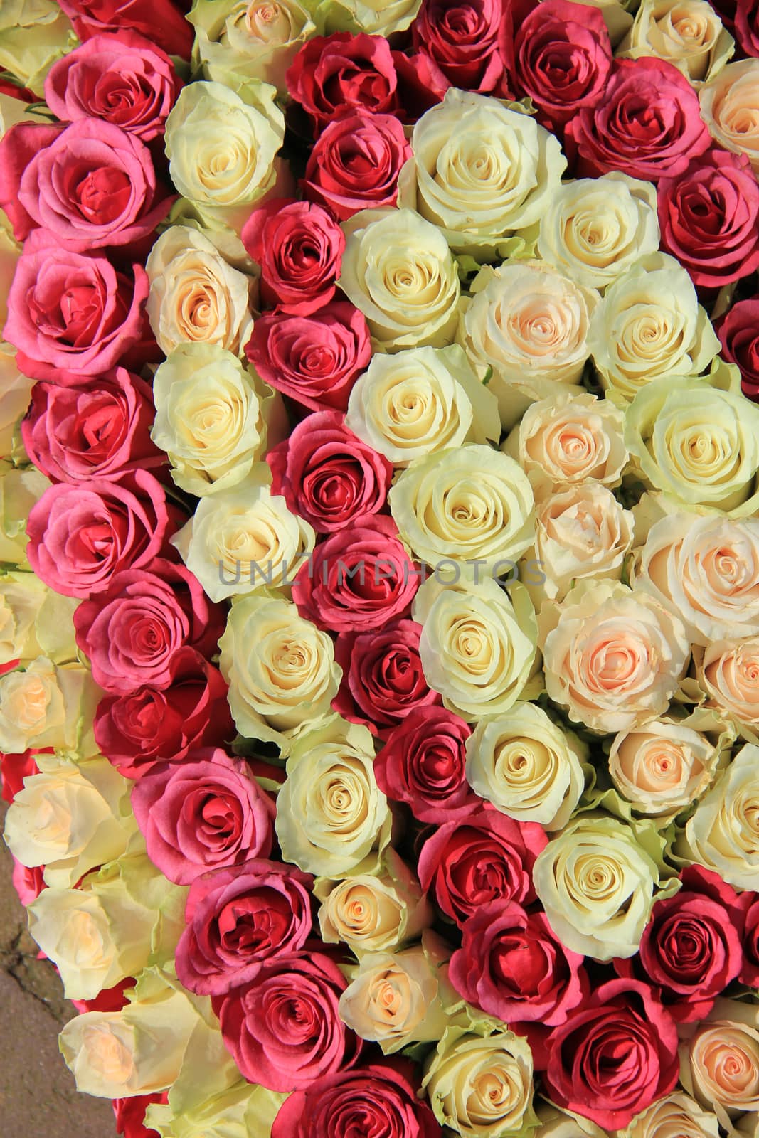 Pink roses in different shades in wedding arrangement by studioportosabbia