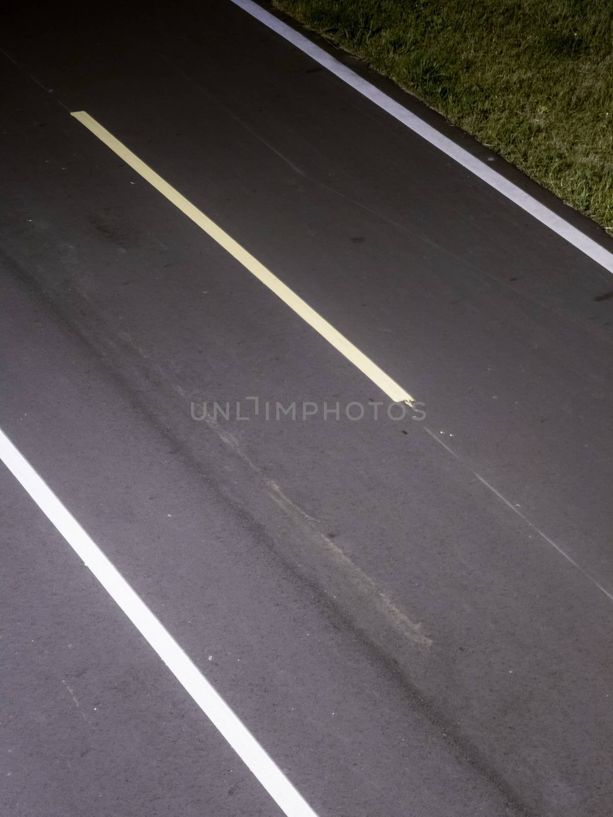 Cycling or jogging lane at park at night