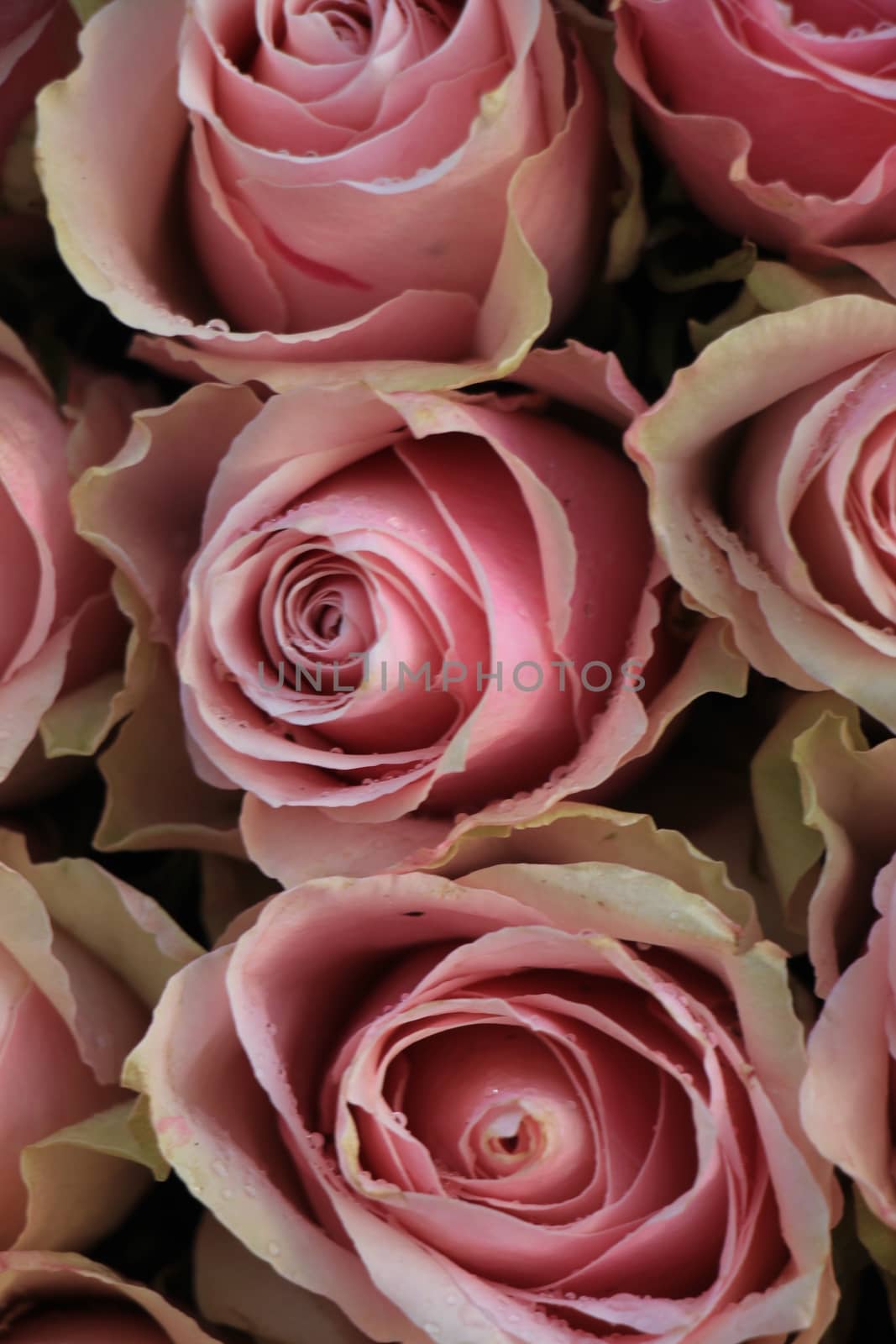 Big pink roses in a floral wedding decoration