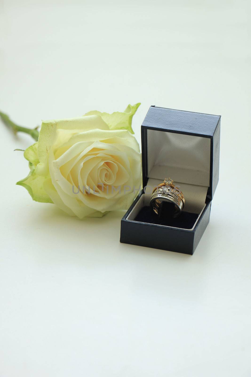 Engagement rings in boxes and white rose