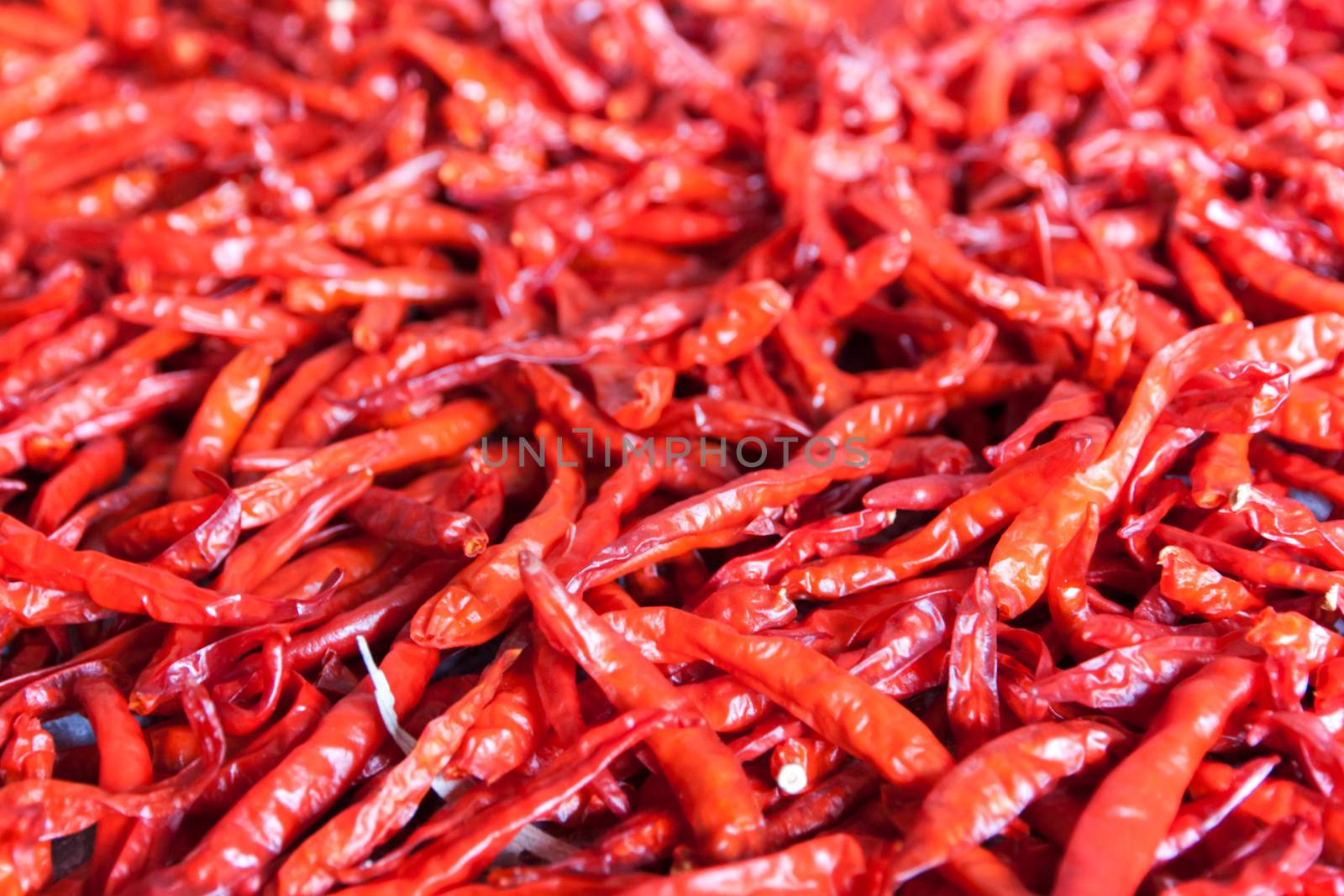 Dried red chili pepper by PeachLoveU