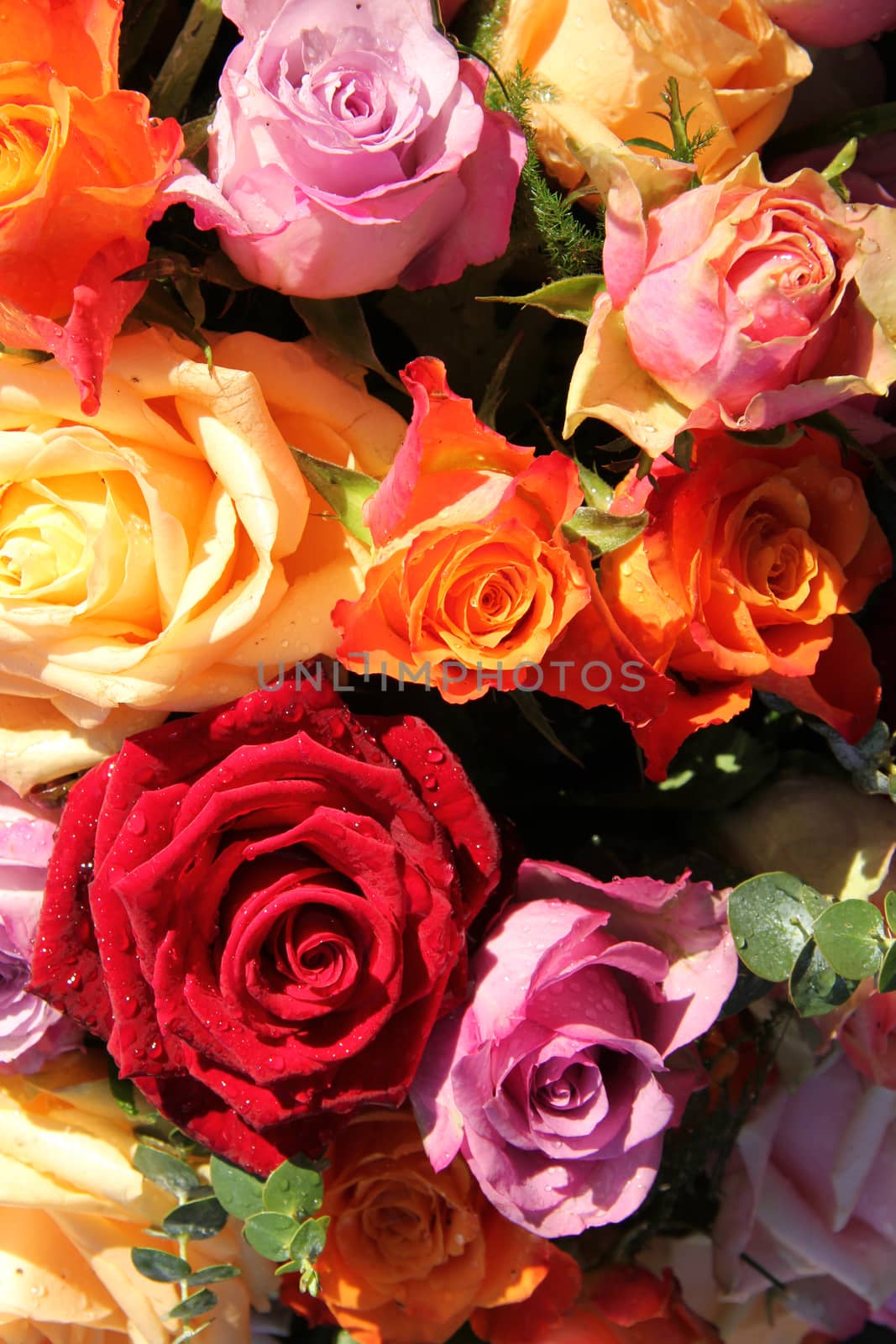 Colorful rose bouquet