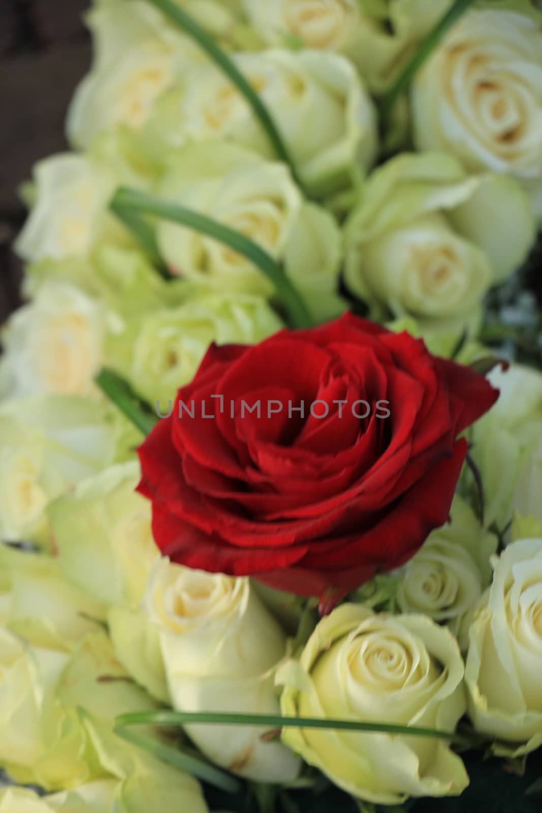 Red rose in a white wedding bouquet by studioportosabbia