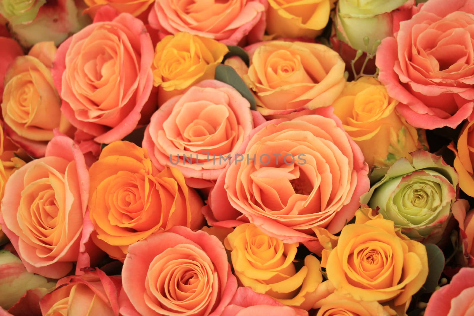 Yellow, orange and pink roses in a floral arrangement at a wedding
