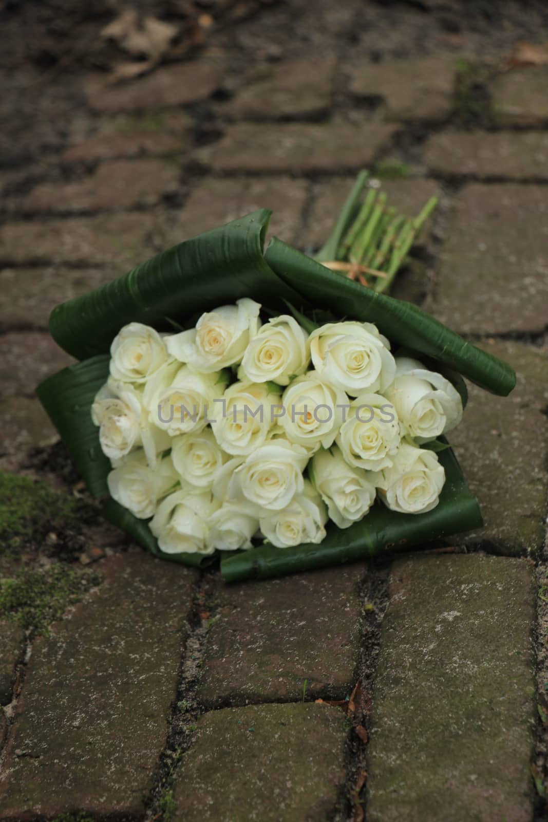 White sympathy roses in a small bouquet on the pavement