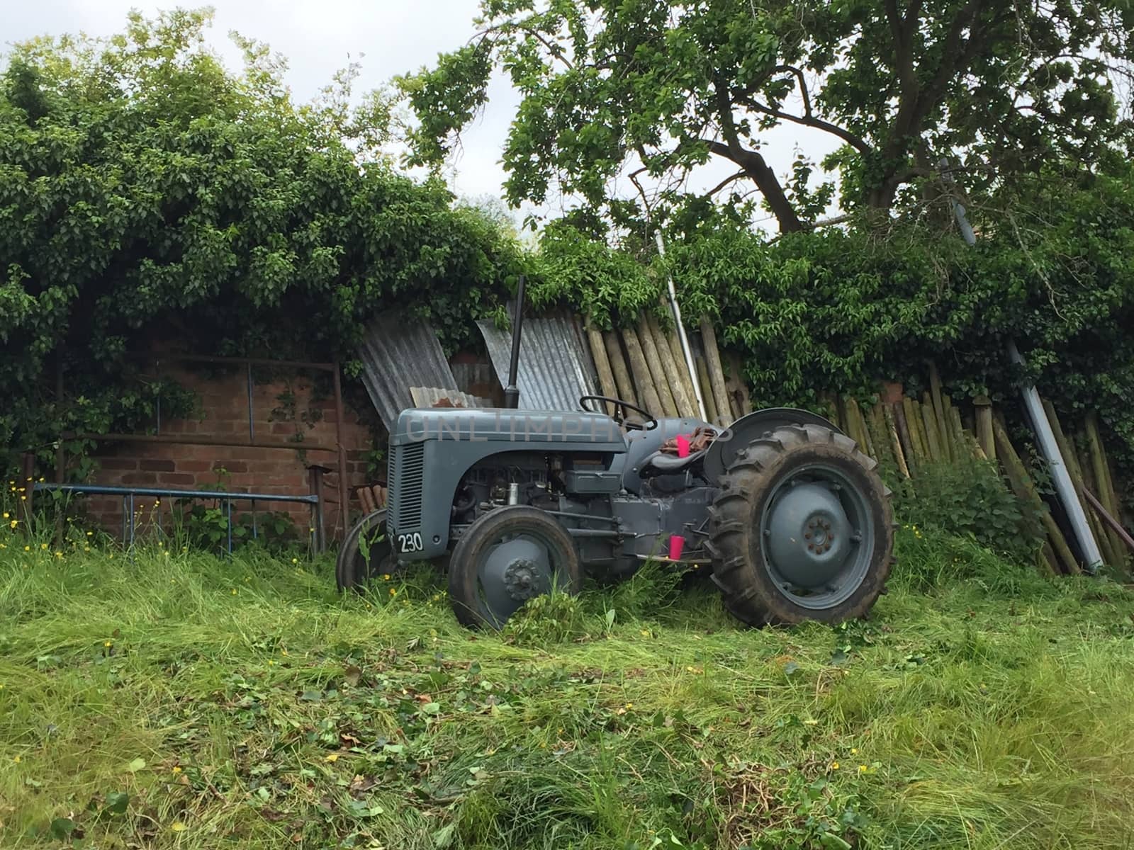 Little grey fergie te20 tractor at work