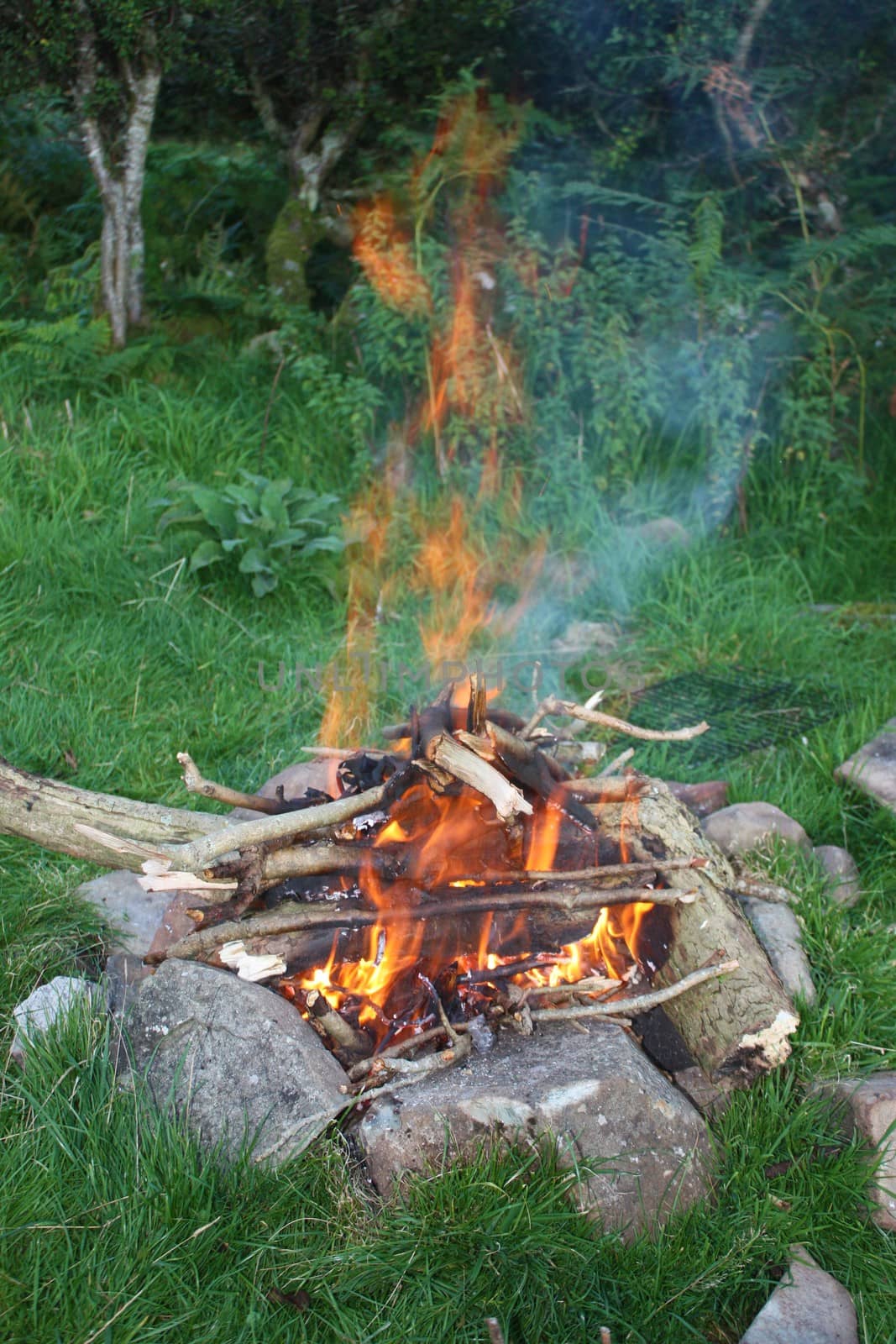 Bright Orange Flames in an open fire by chrisga