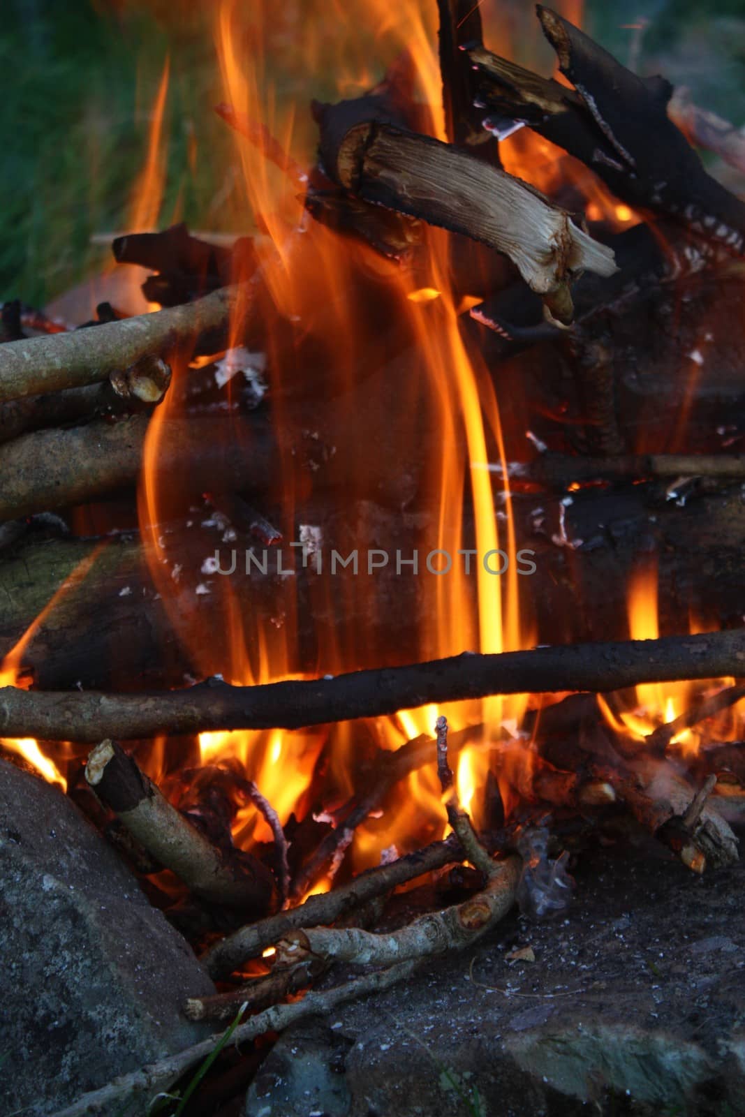Bright Orange Flames in an open fire by chrisga