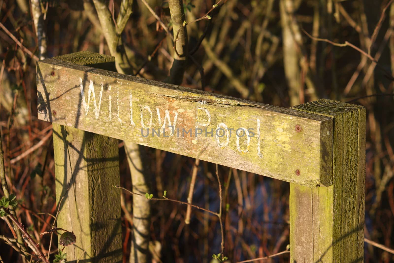 wooden sign showing willow pool