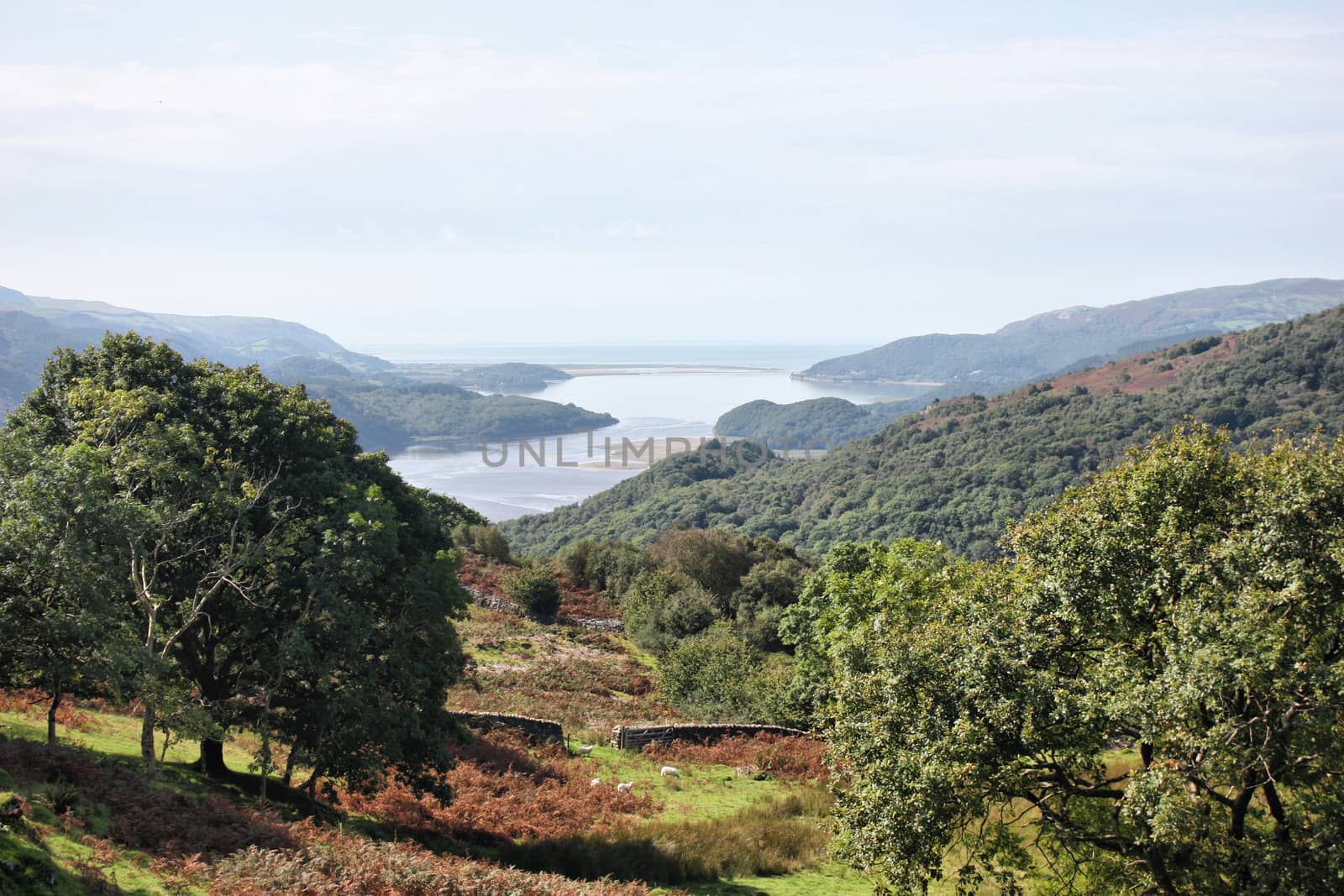 View of the Mawddach Estuary in Wales by chrisga