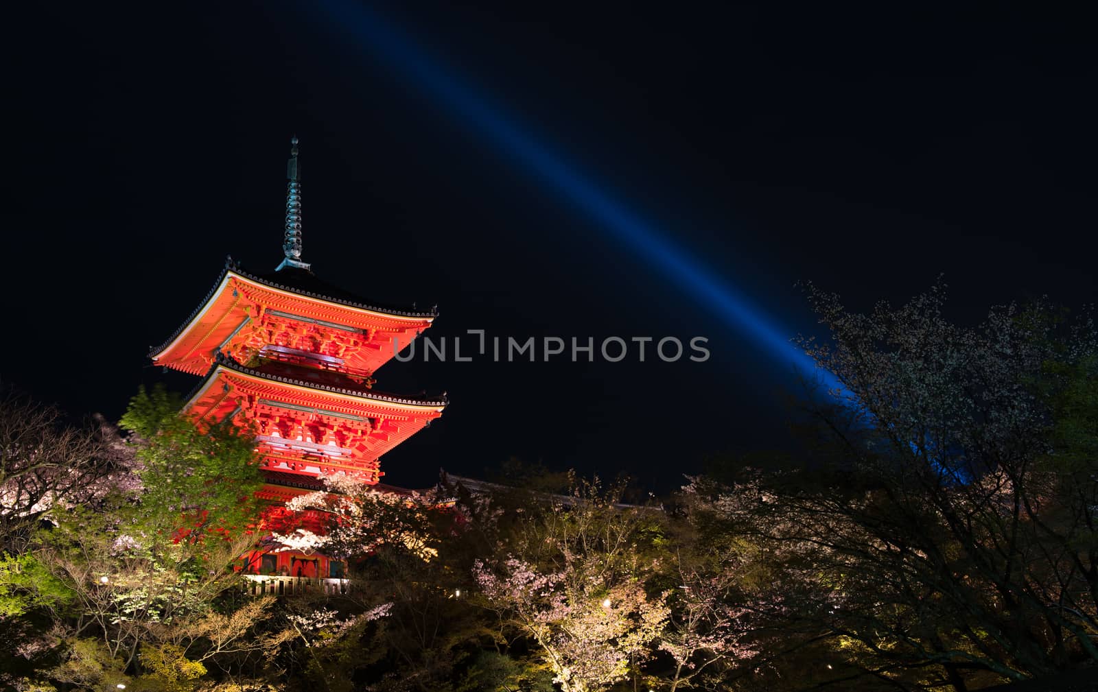 Kiyomizu dera temple , light up in spring by t0pkul3
