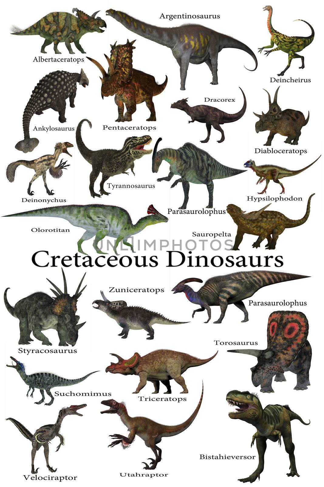 A collection of various dinosaurs that lived around the world during the Cretaceous Period.