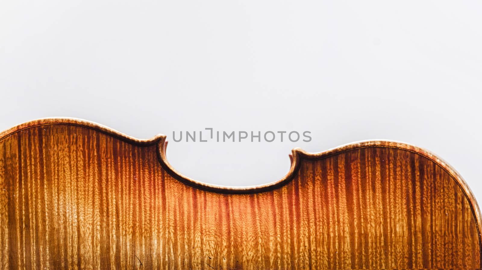 Stringed Musical Instrument, a violin on a white - grey background.