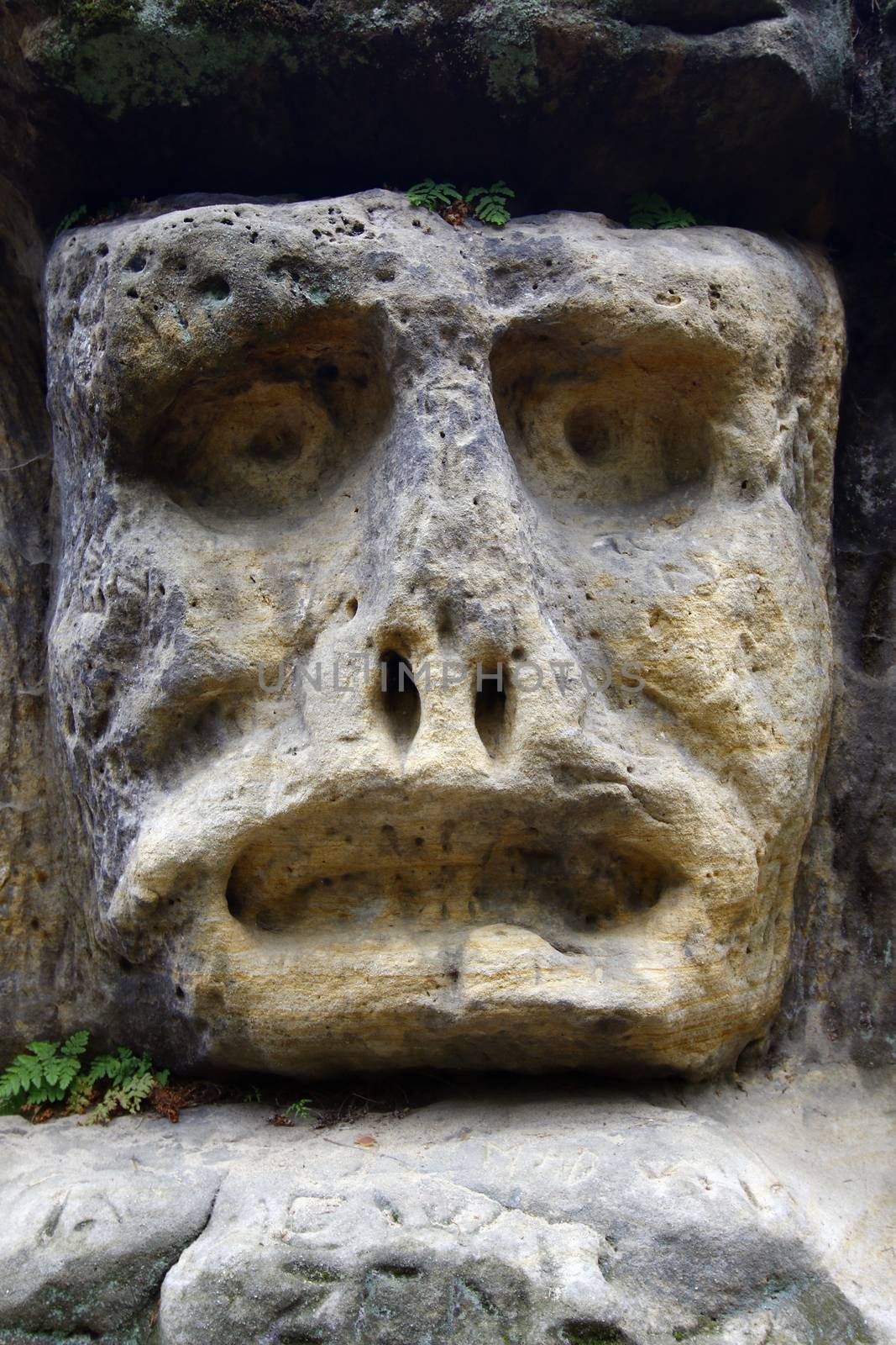 Spooky Stone Head - rock sculpture in the forest from 1840 by sculptor Vaclav Levy