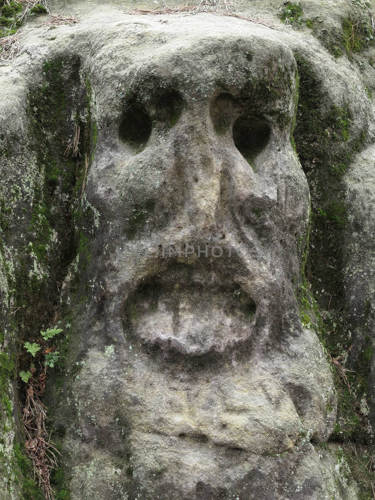 Bizarre Stone Heads - Rock Sculptures by Mibuch