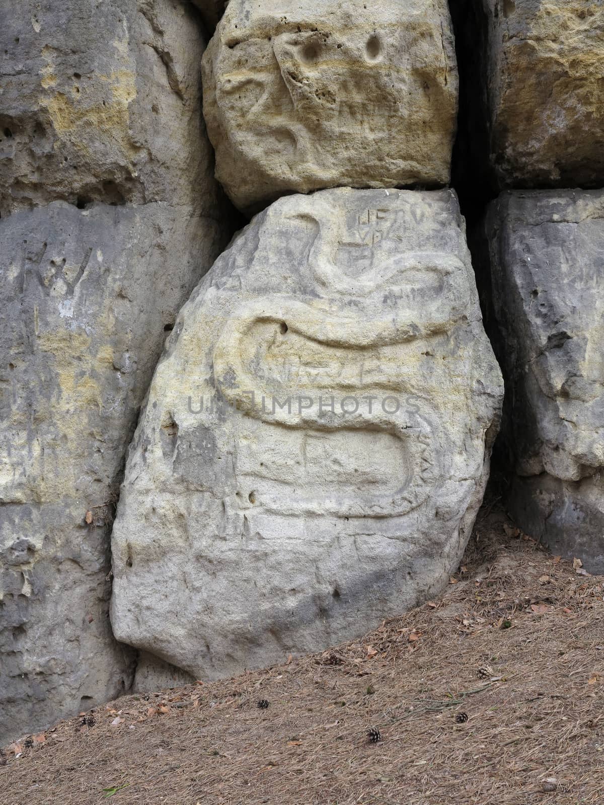 Snake - rock relief carved into the sandstone cliffs in the pine forest above the village Zelizy in the district Melnik, Czech republic. It is the works of sculptor Vaclav Levy, who created in the period 1841-1846.