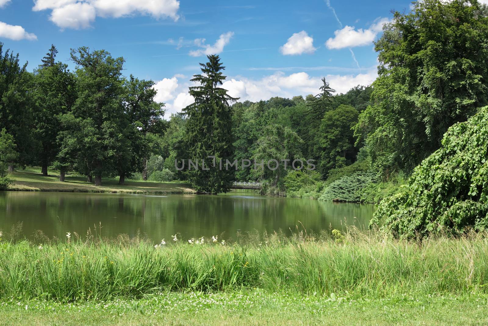 Sunny day in the park