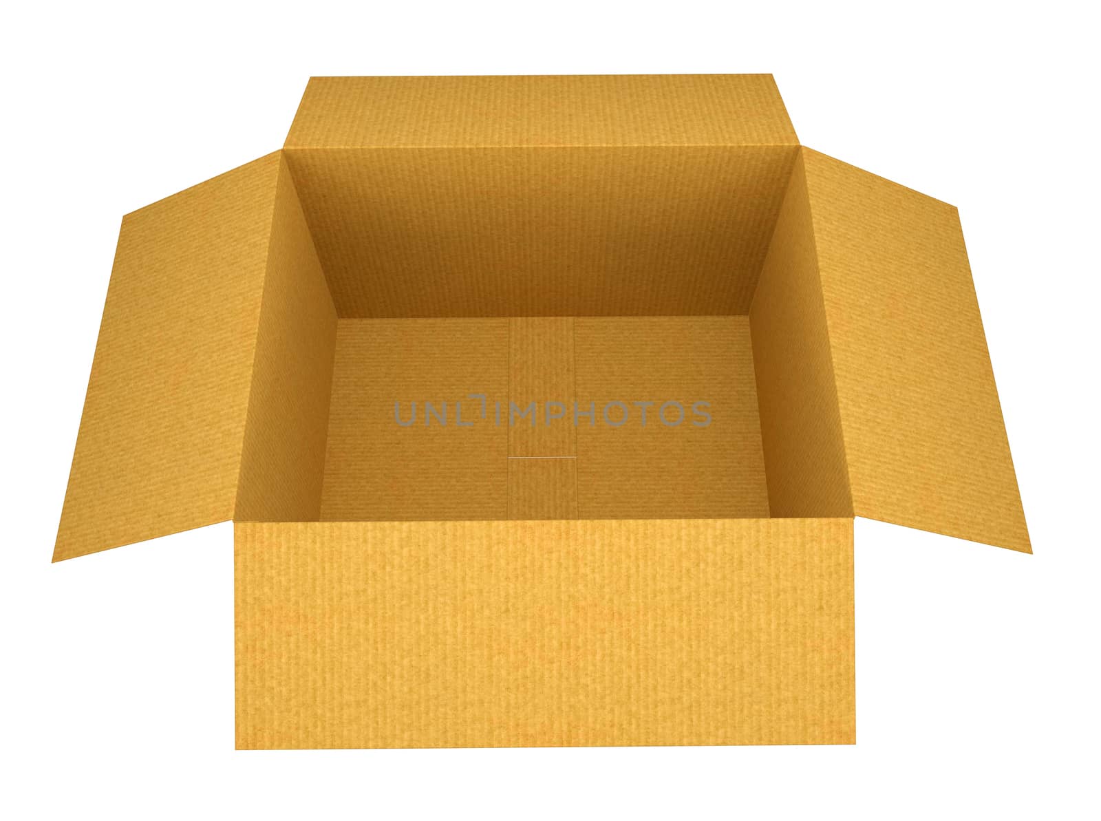 Open Cardboard Box by cherezoff