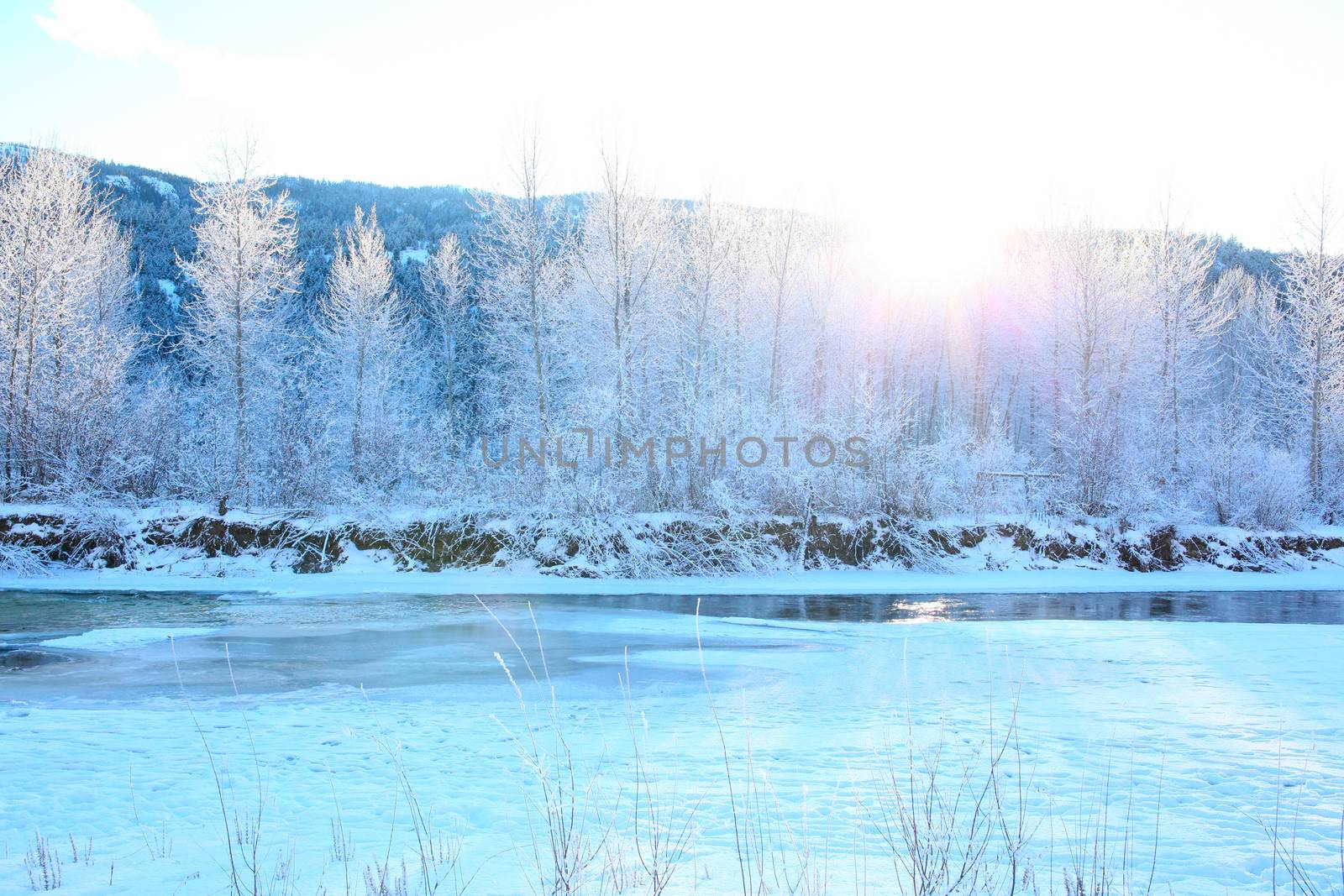 Frozen river with trees and mountain in the background