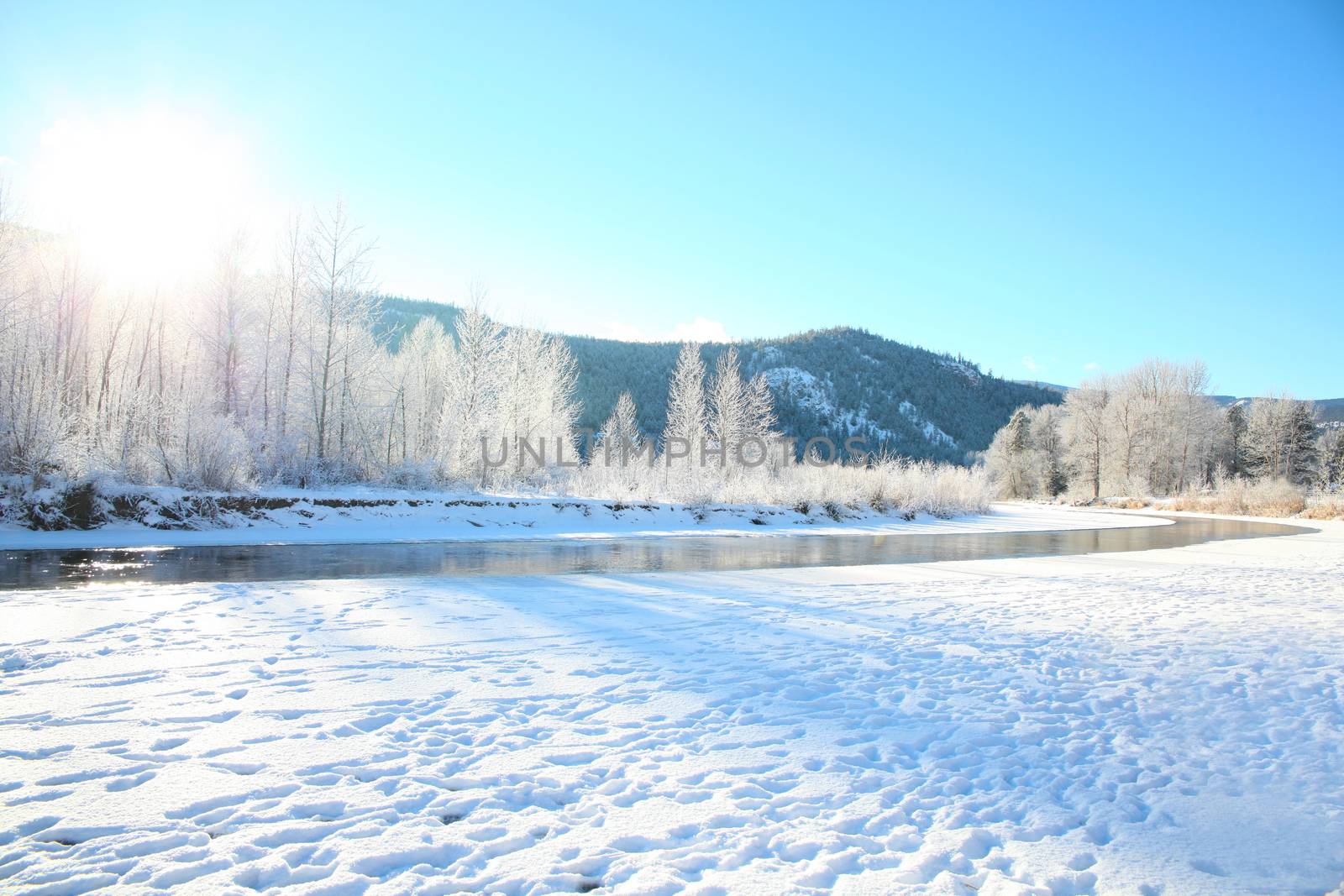 Frozen river with trees and mountain in the background