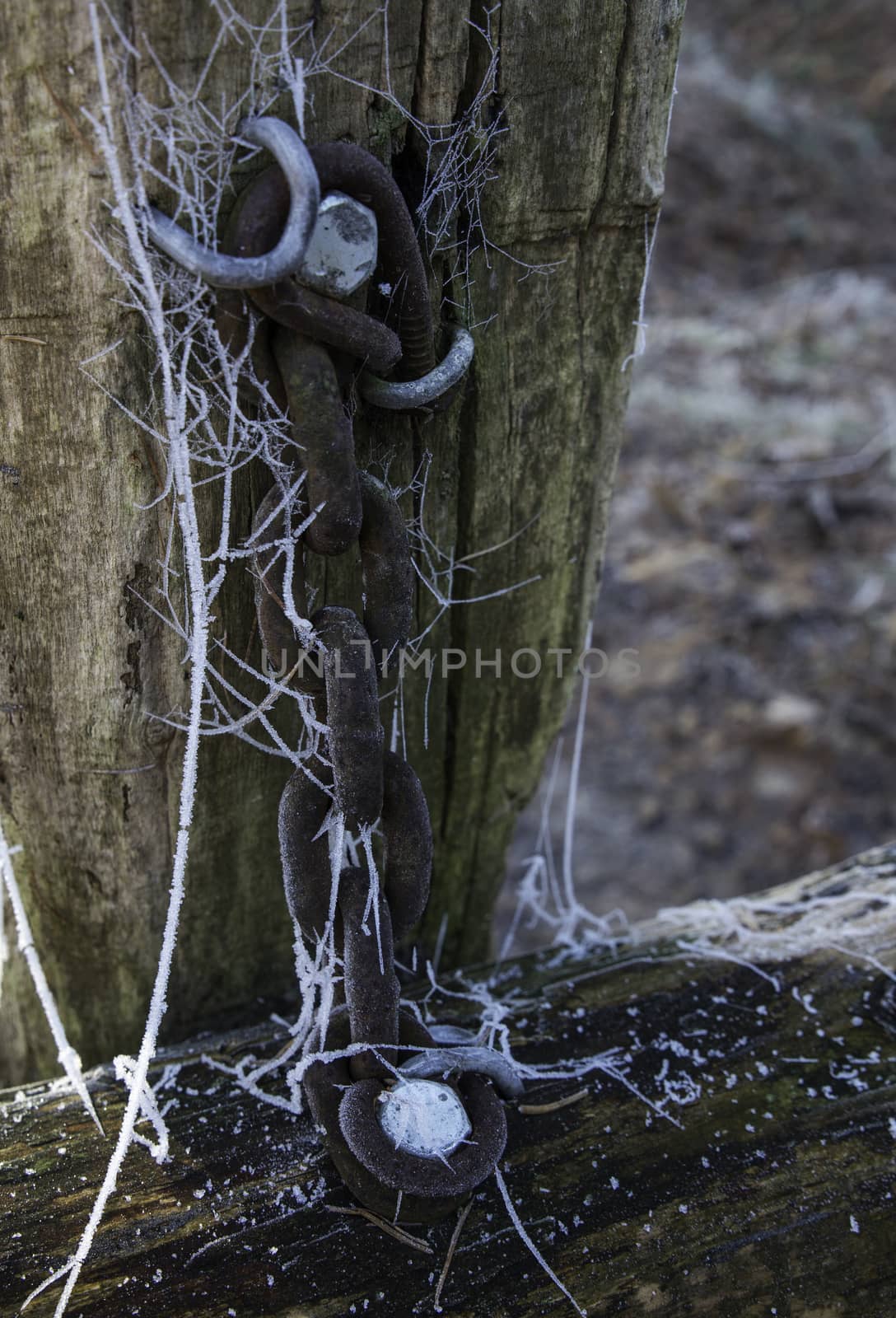 chain in winter forest part of wooden bench with ice crystals still life