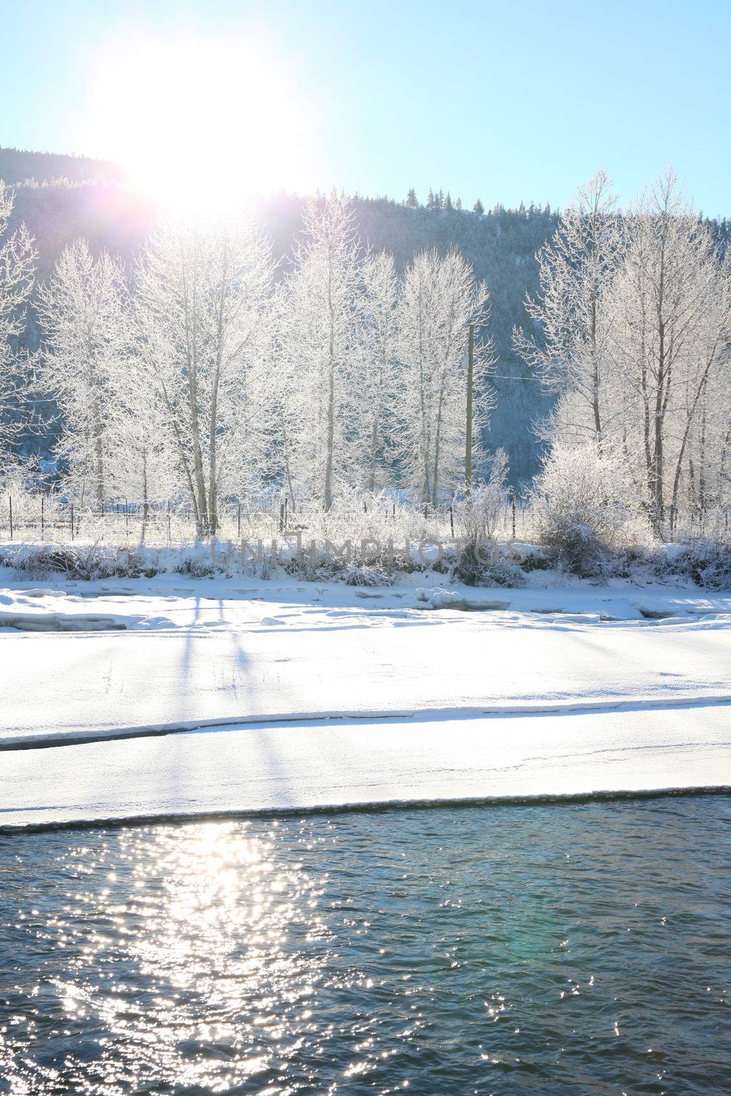 Frozen river with trees and mountain in the background